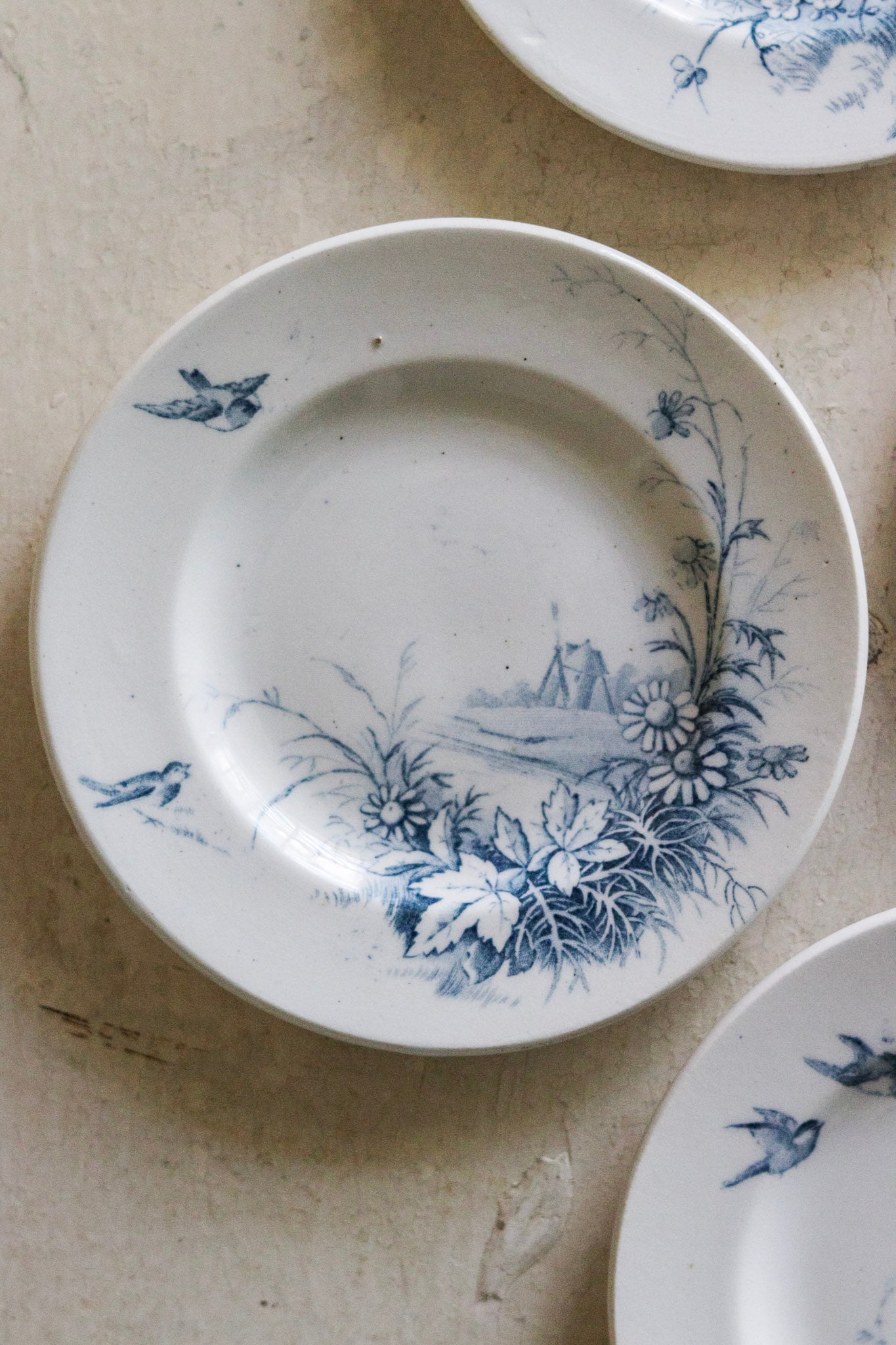 Set of Antique French Dînette Set Transferware Dinner Plates  No. 1