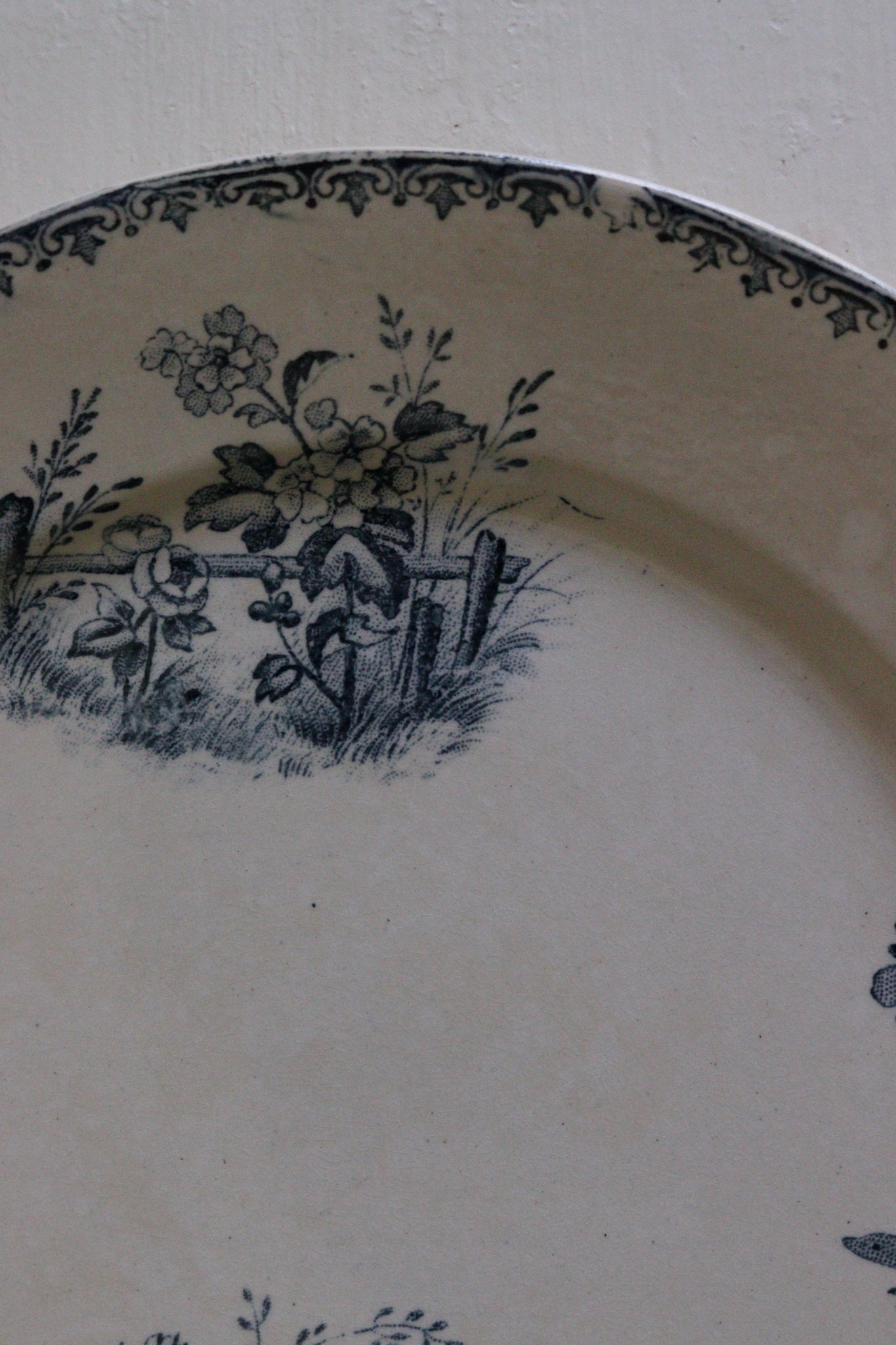 Antique French Transferware Plate with Flowers and Butterflies and Dragonflies No.1