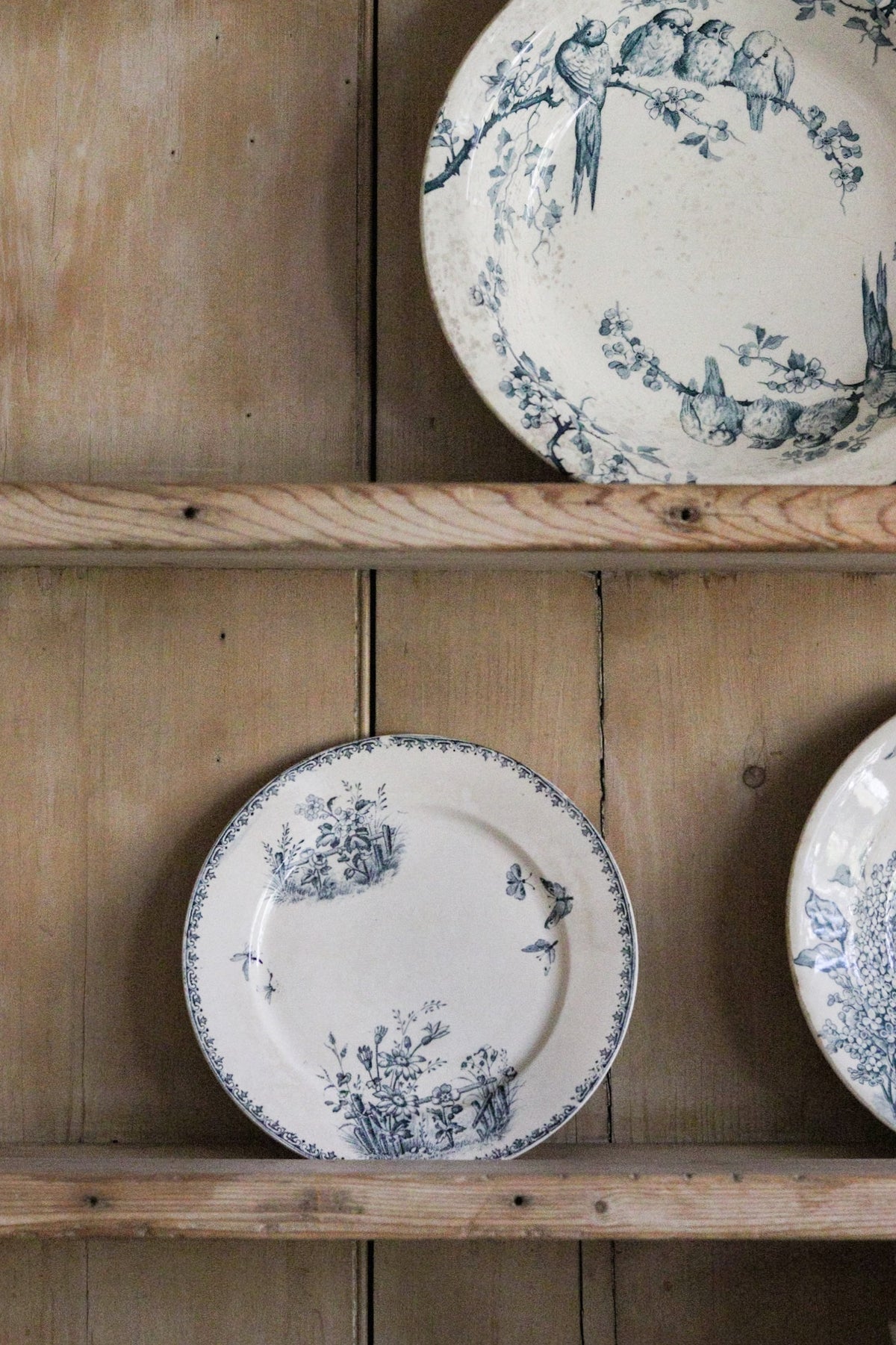 Antique French Transferware Plate with Flowers and Butterflies and Dragonflies