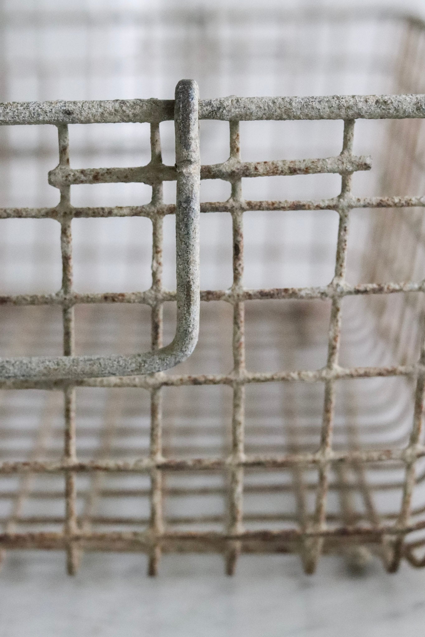 Vintage French Oyster Basket