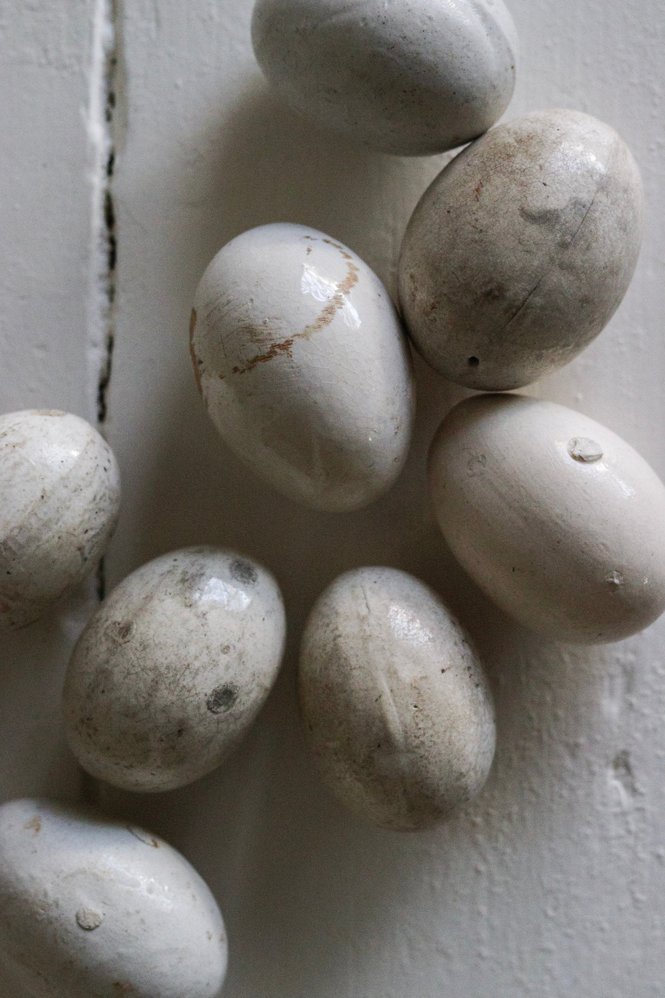 English Broody Hen Egg