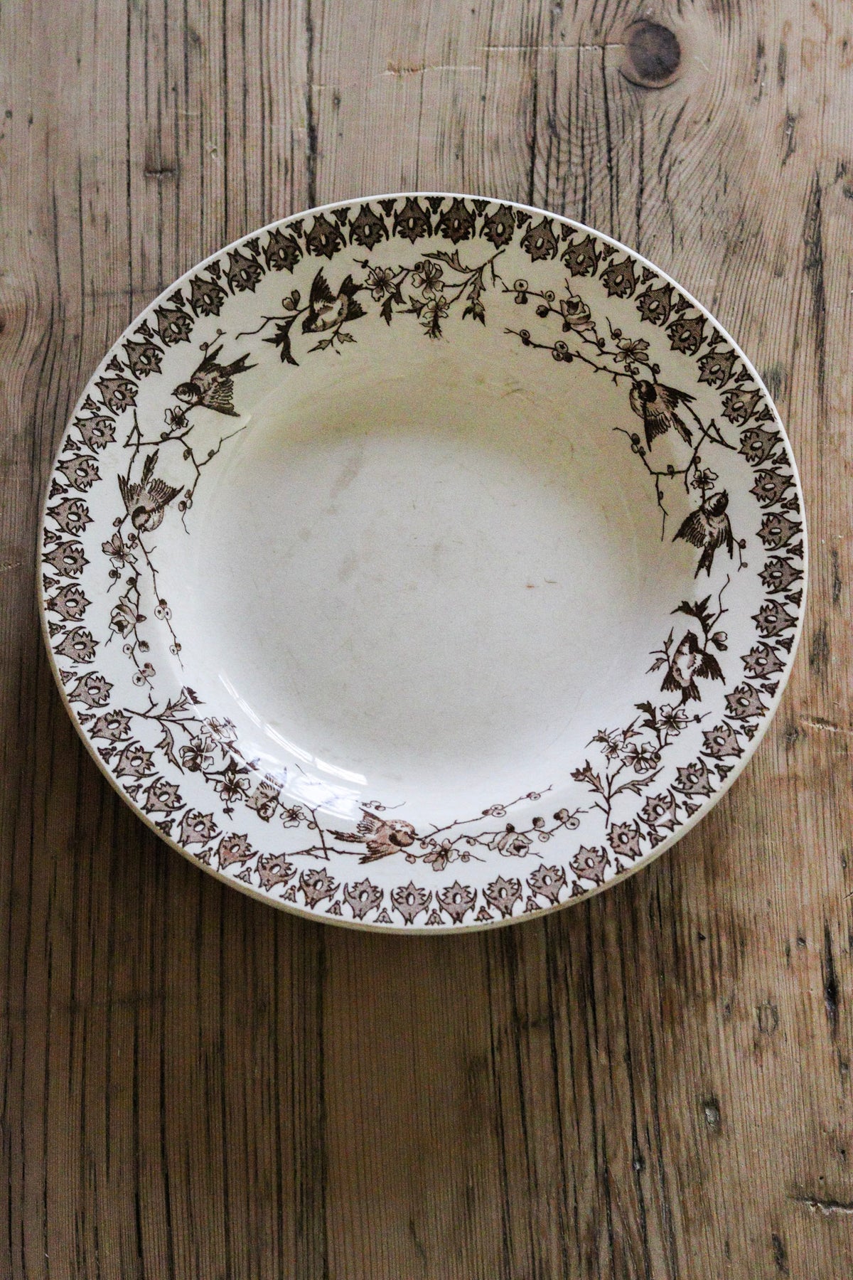 Antique French Transferware Shallow Bowl with Birds