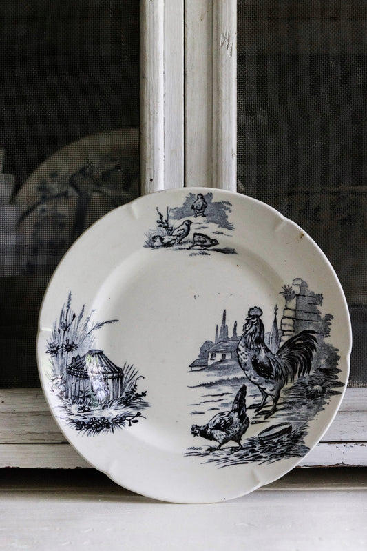 Beautiful Antique French Transferware Plate with Chickens