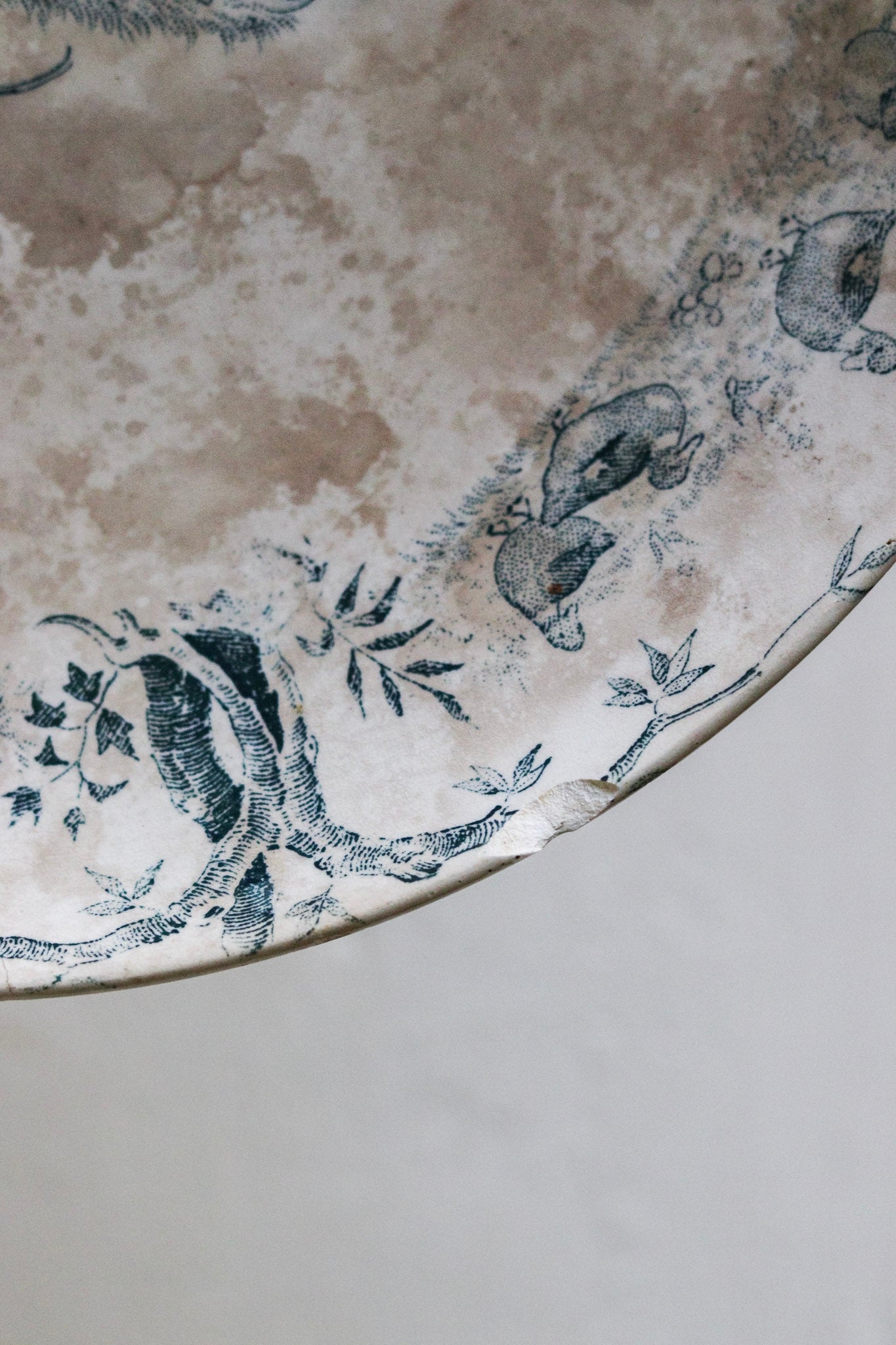 Antique French Transferware Pedestal Fruit Bowl with Ducks, Chickens and a Frog -Please Read Description