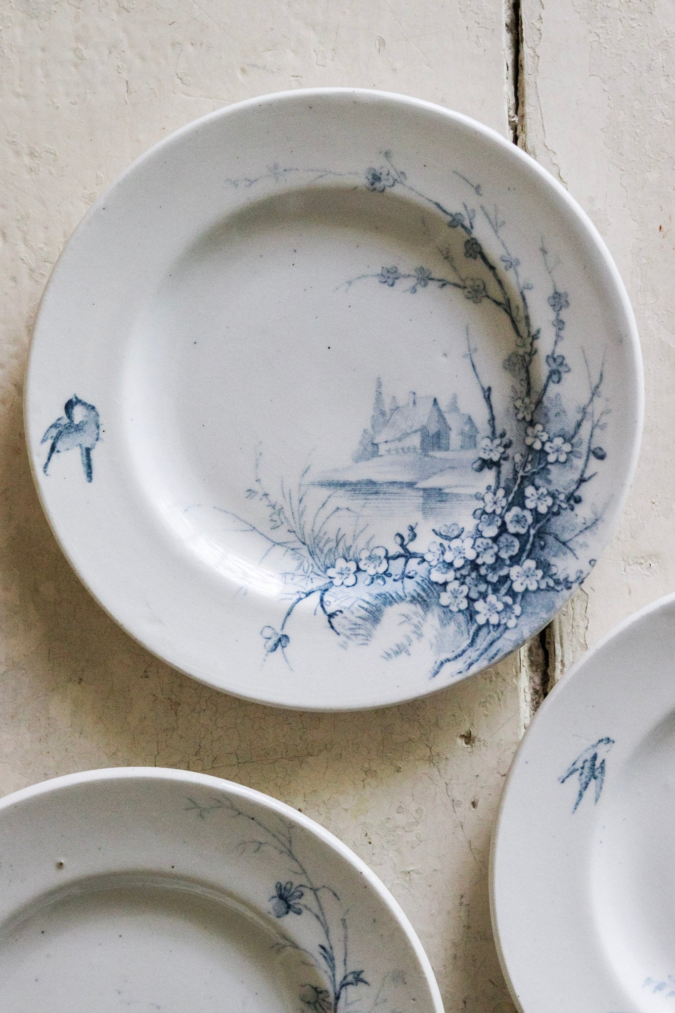 Set of Antique French Dînette Set Transferware Dinner Plates  No. 1
