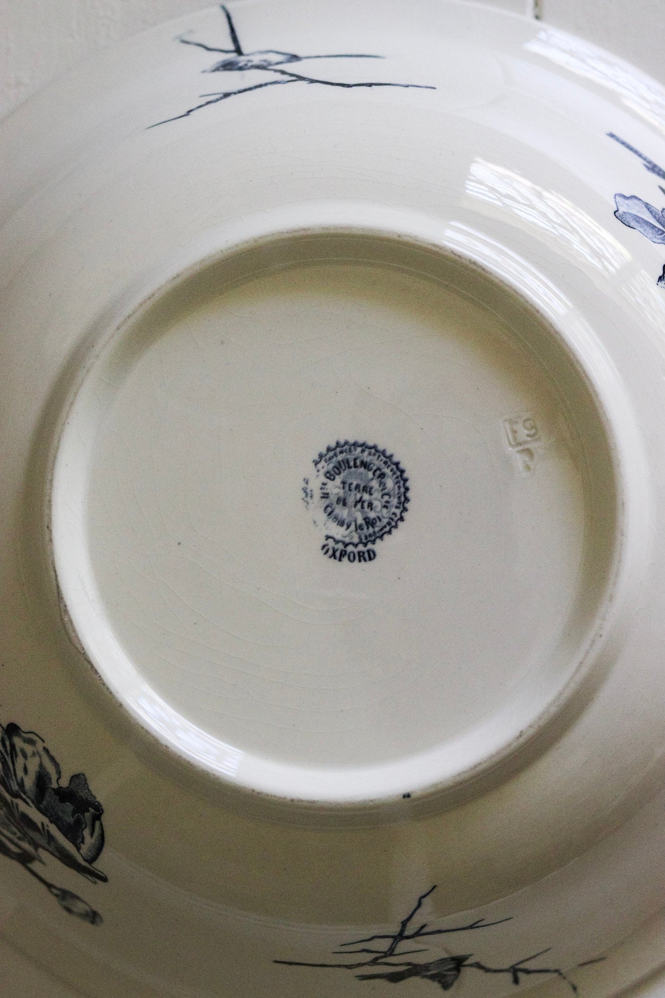 Extra Large Antique French Transferware Bowl With Birds & Flowers