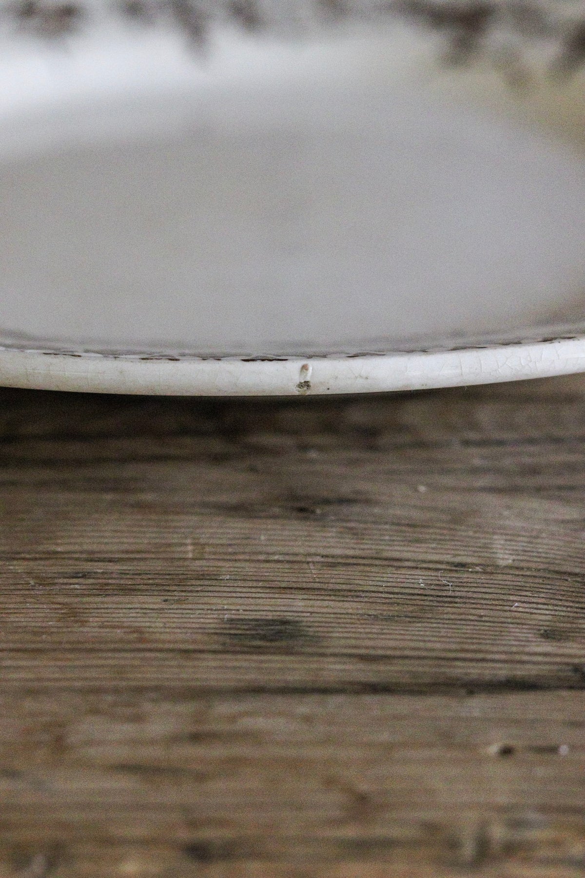 Large Antique French Transferware Plate with Birds