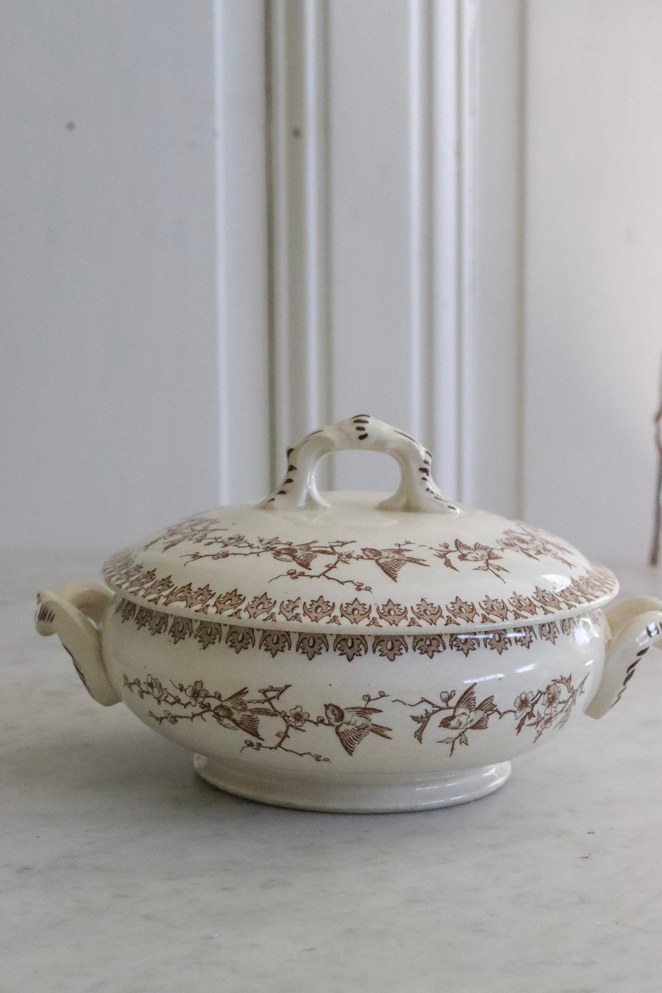 Antique French Transferware Tureen with Birds