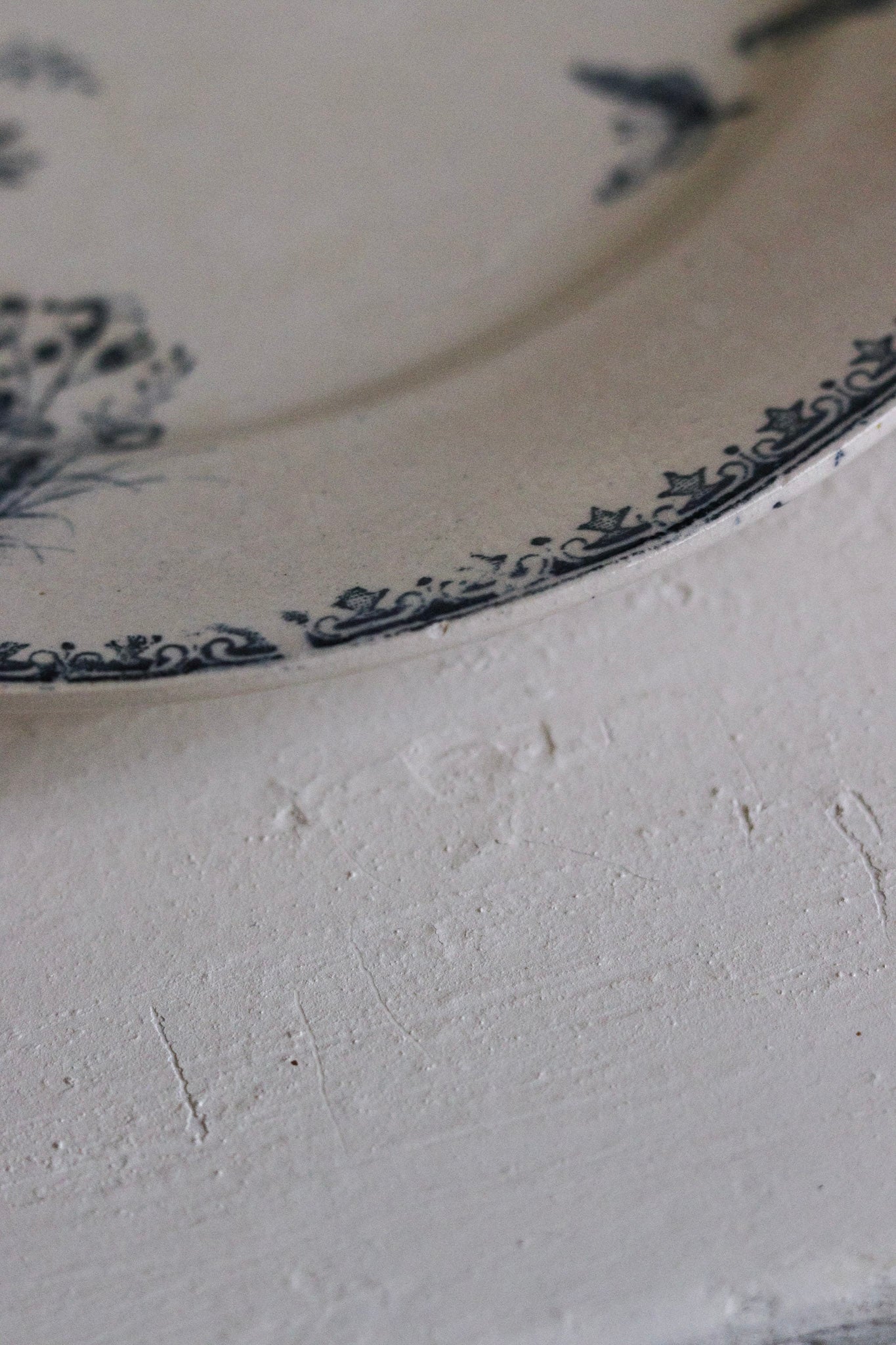 Antique French Transferware Plate with Flowers and Butterflies and Dragonflies No.1