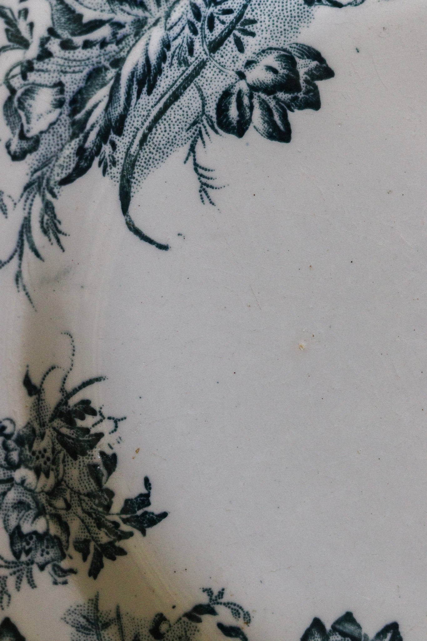 Antique French Transferware Plate with Flowers