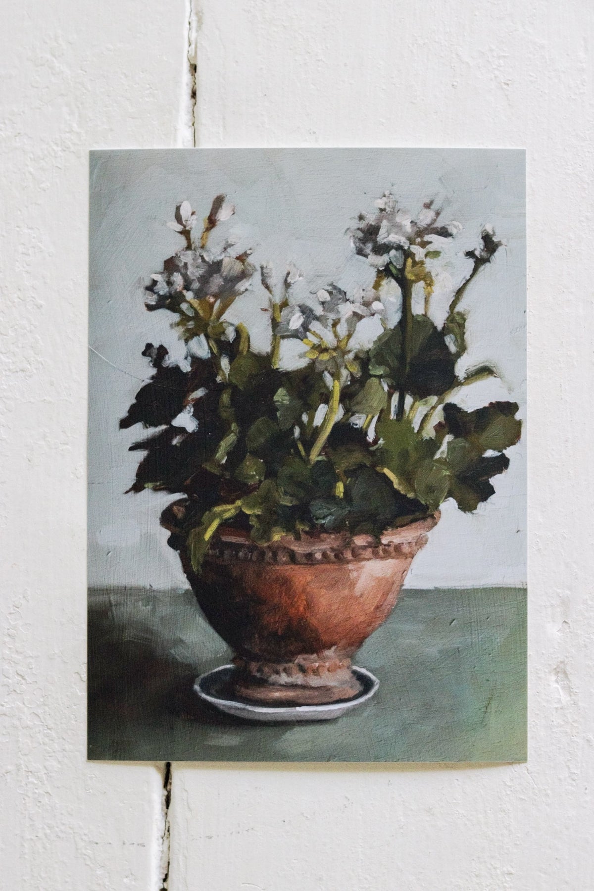 Potted Geraniums Print