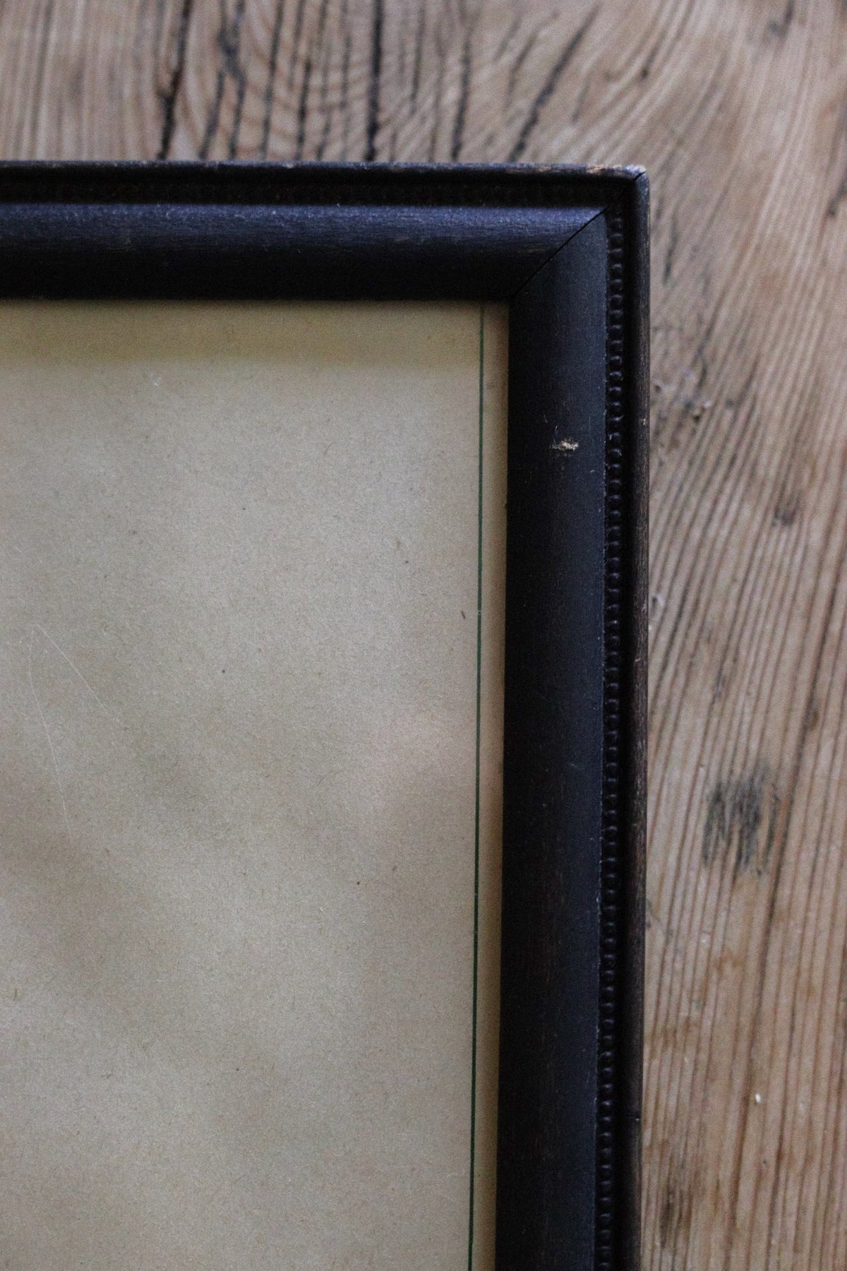 Vintage Framed Herbarium - Dated 1951