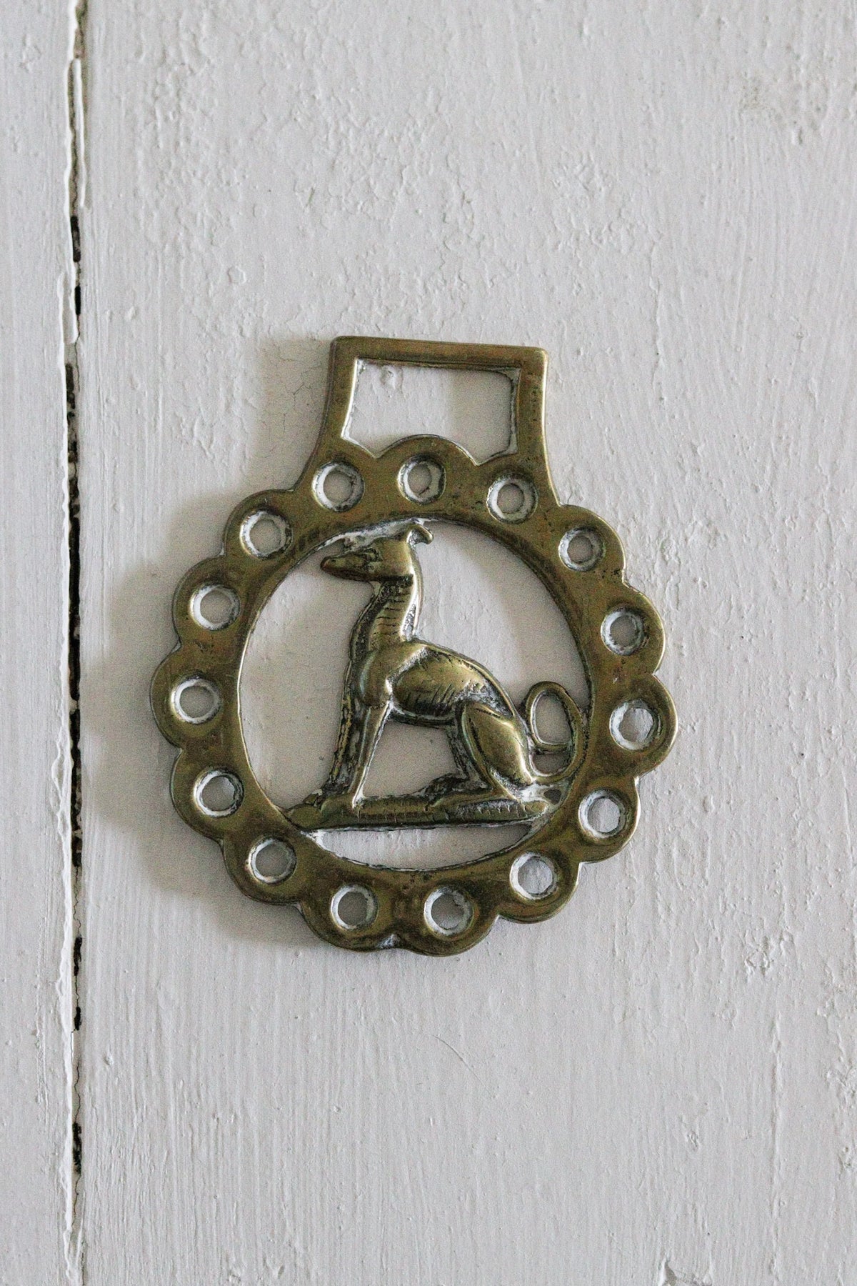 English Horse Brass - Greyhound