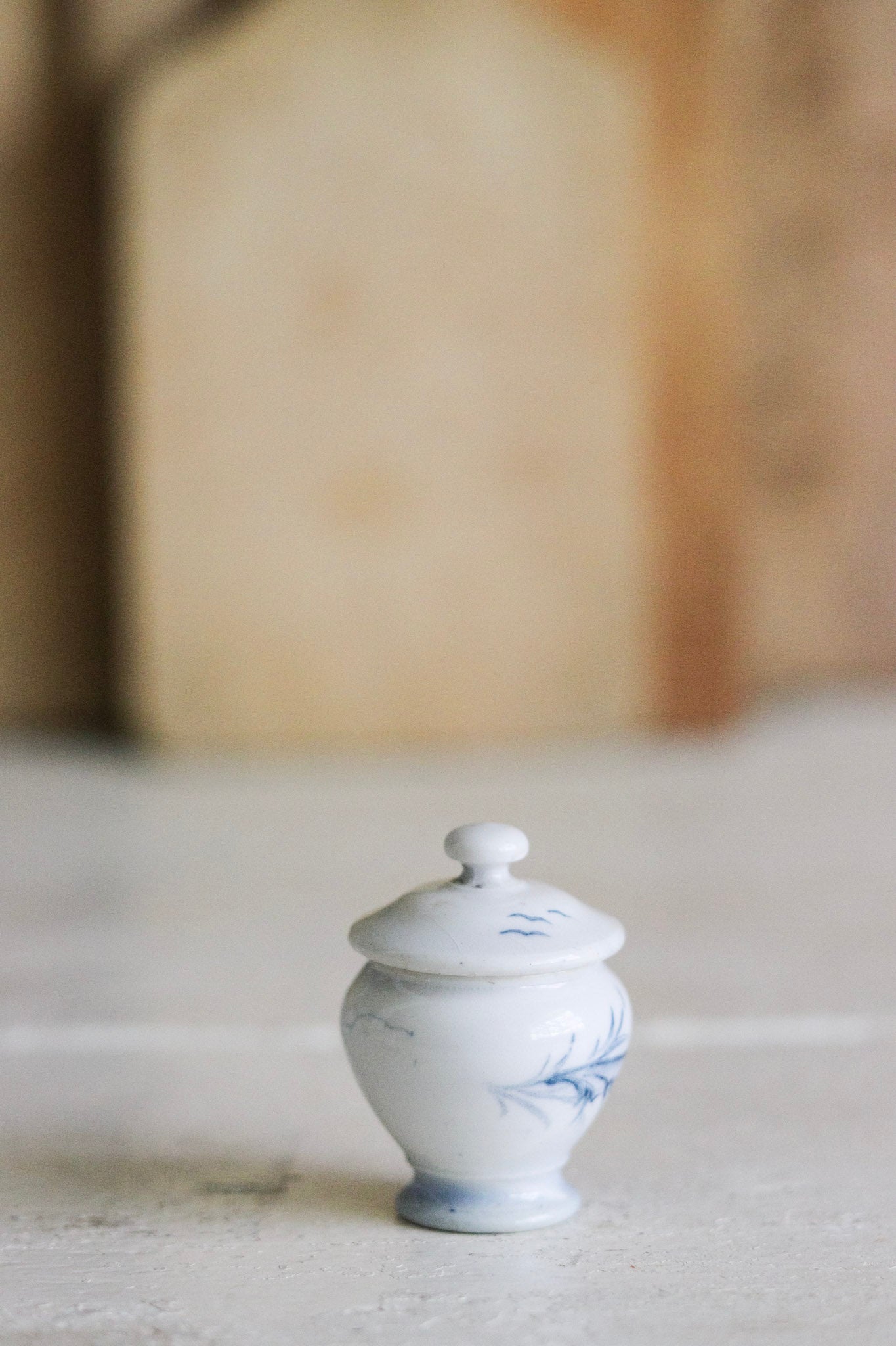 Antique French Dînette Set Transferware Mustard Pot with Lid