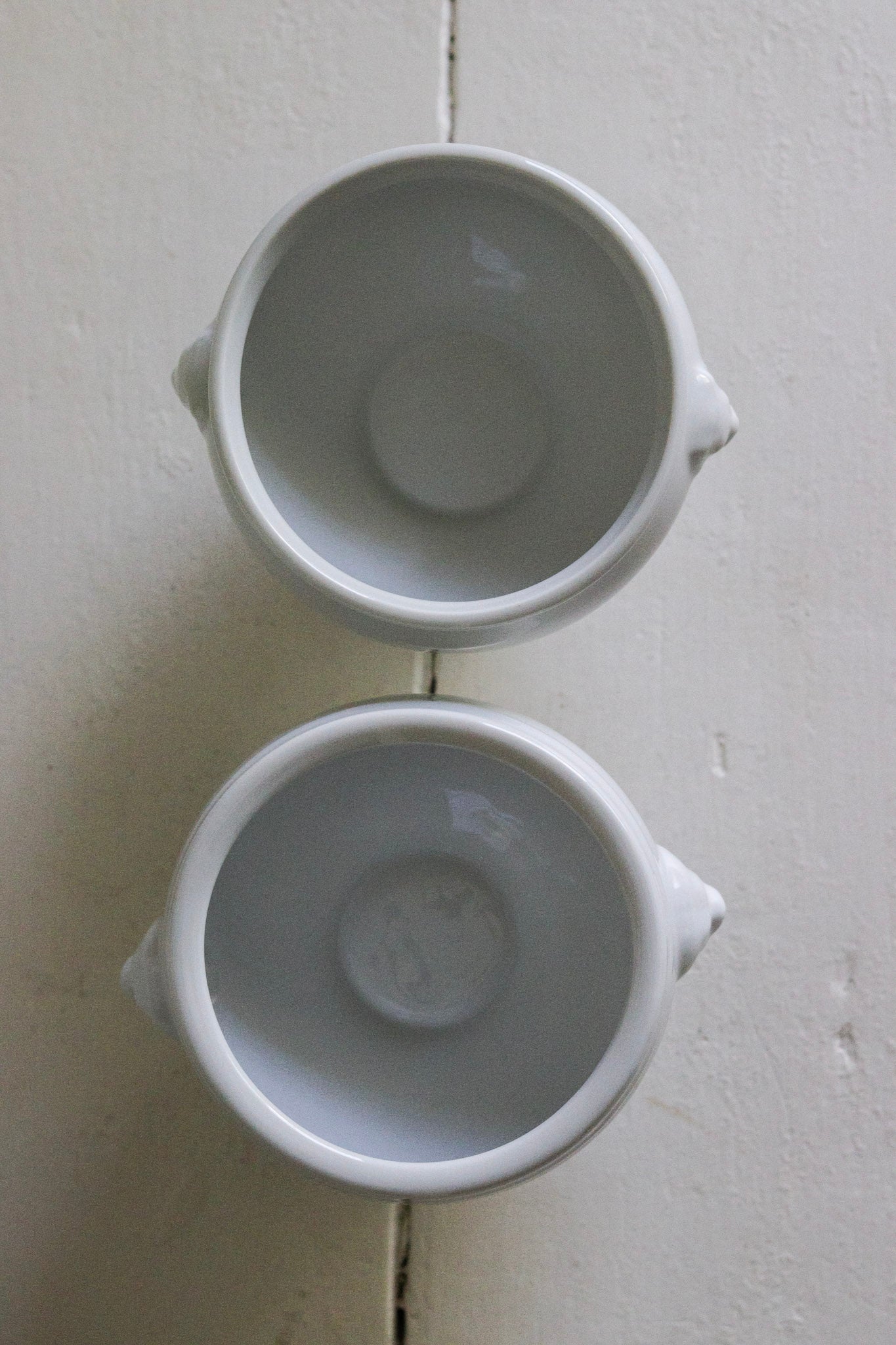 Pair of Vintage French Lion Bowls