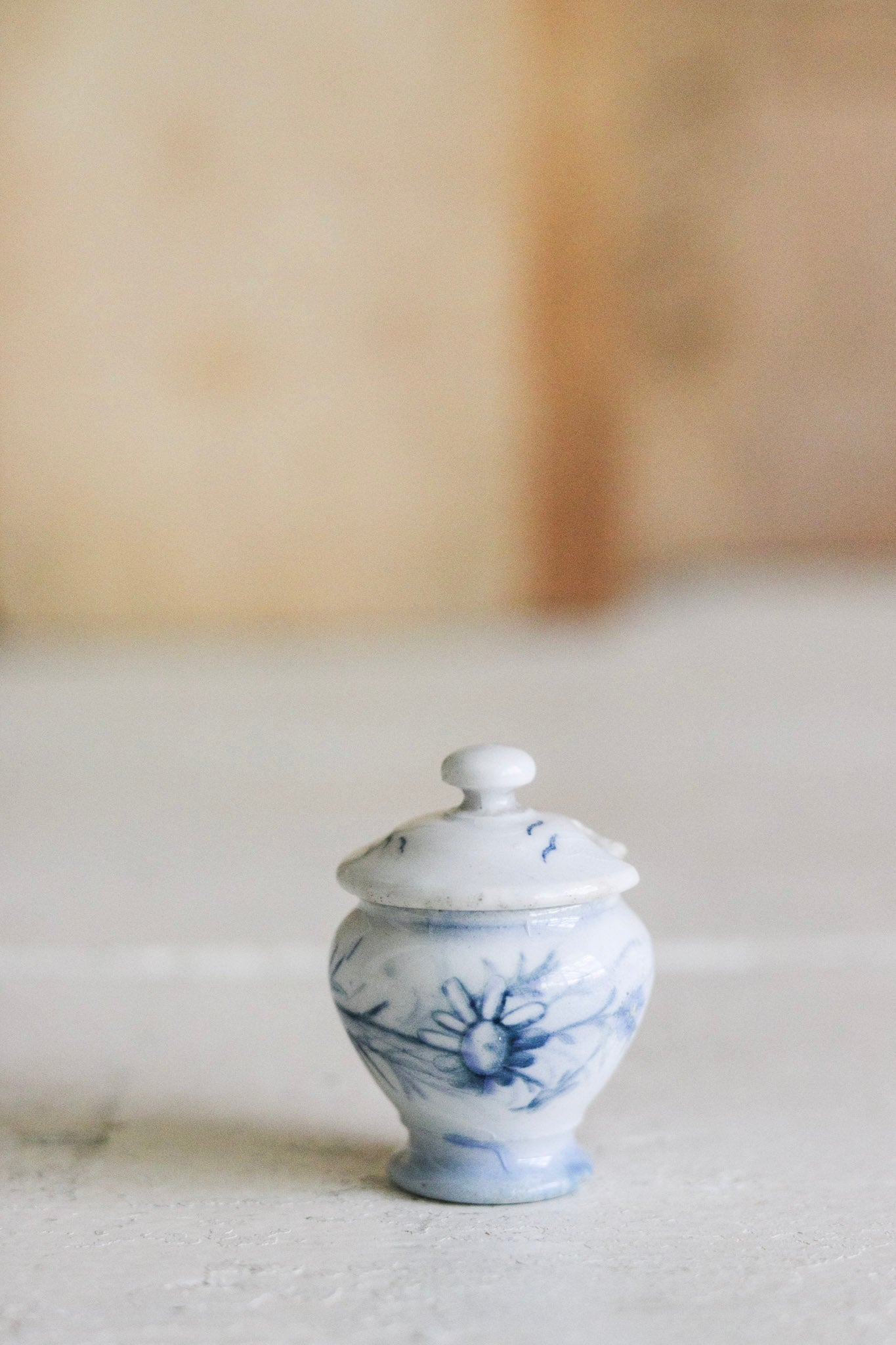 Antique French Dînette Set Transferware Mustard Pot with Lid