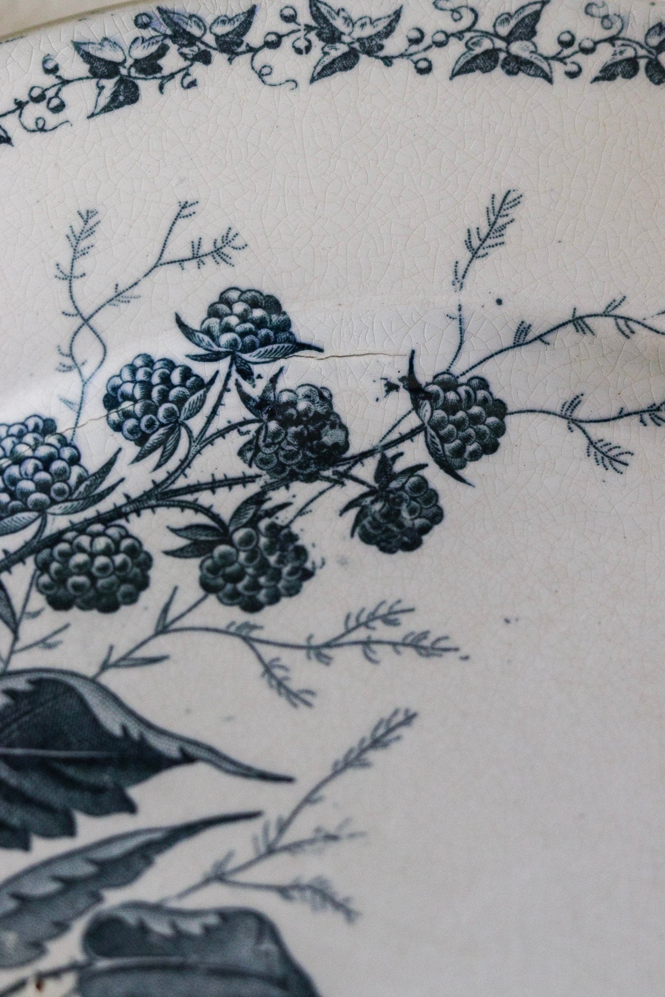 Antique French Transferware Plate with Blackberries - Please read Description