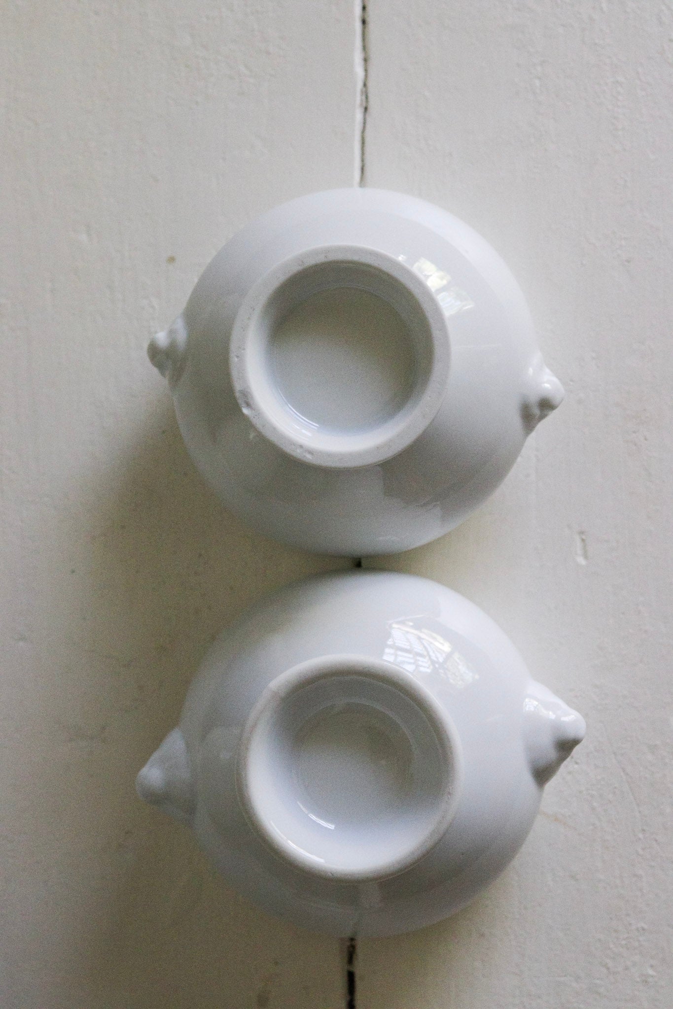 Pair of Vintage French Lion Bowls