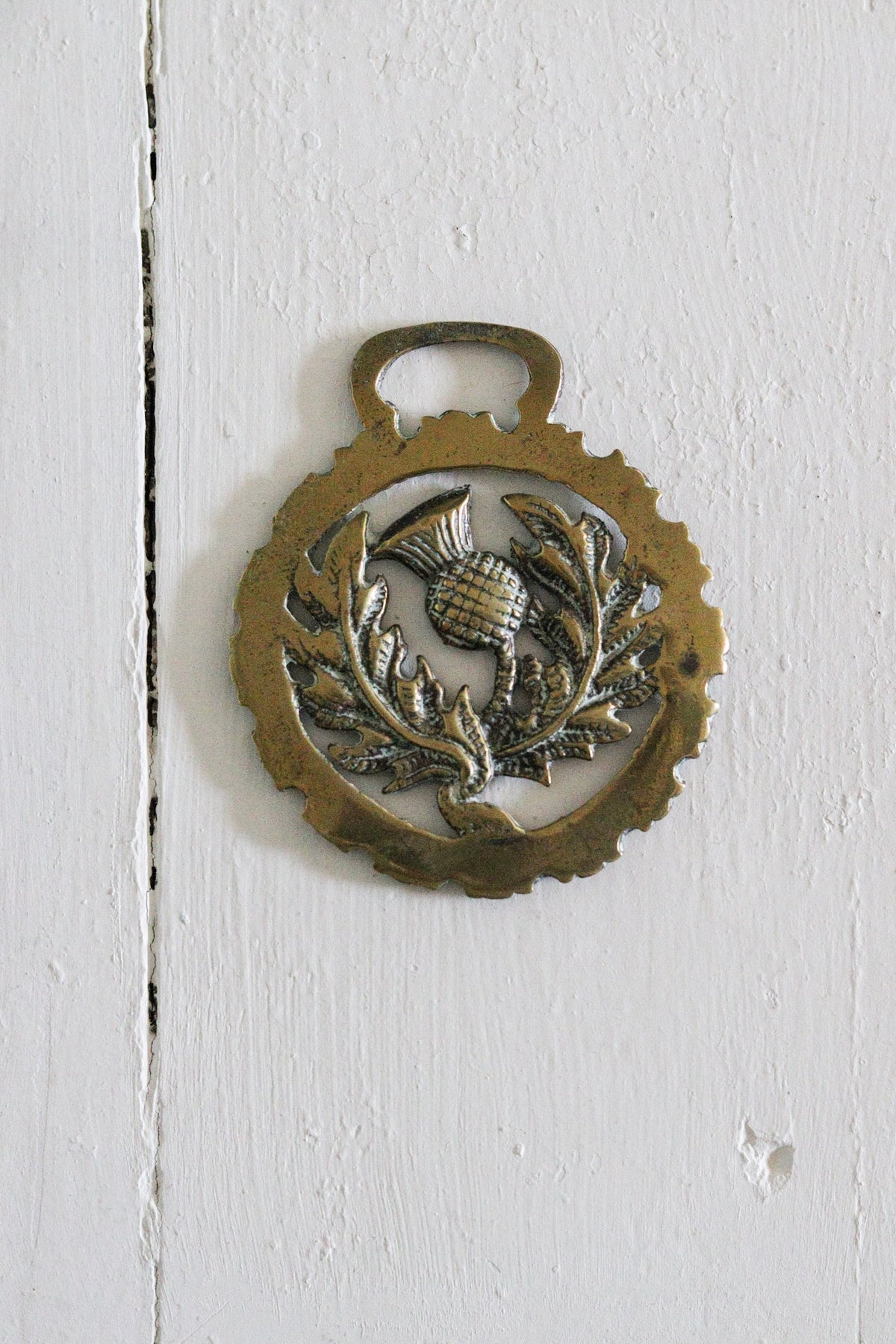 English Horse Brass - Thistle