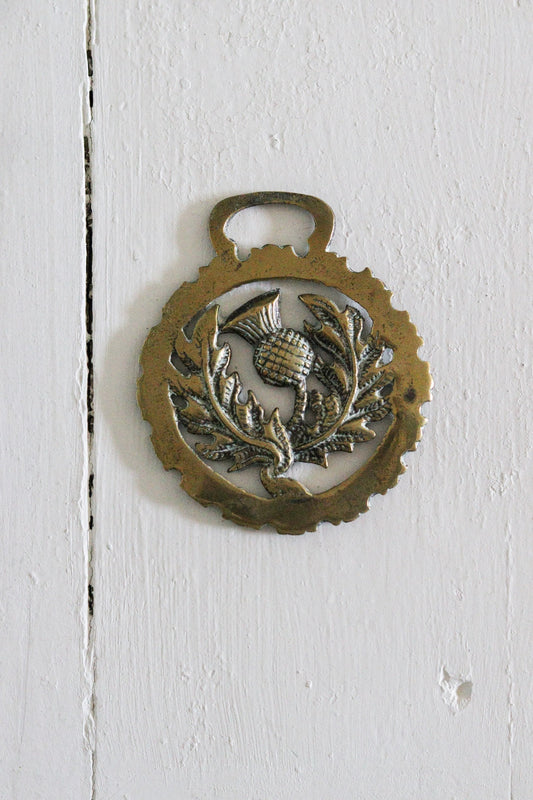 English Horse Brass - Thistle