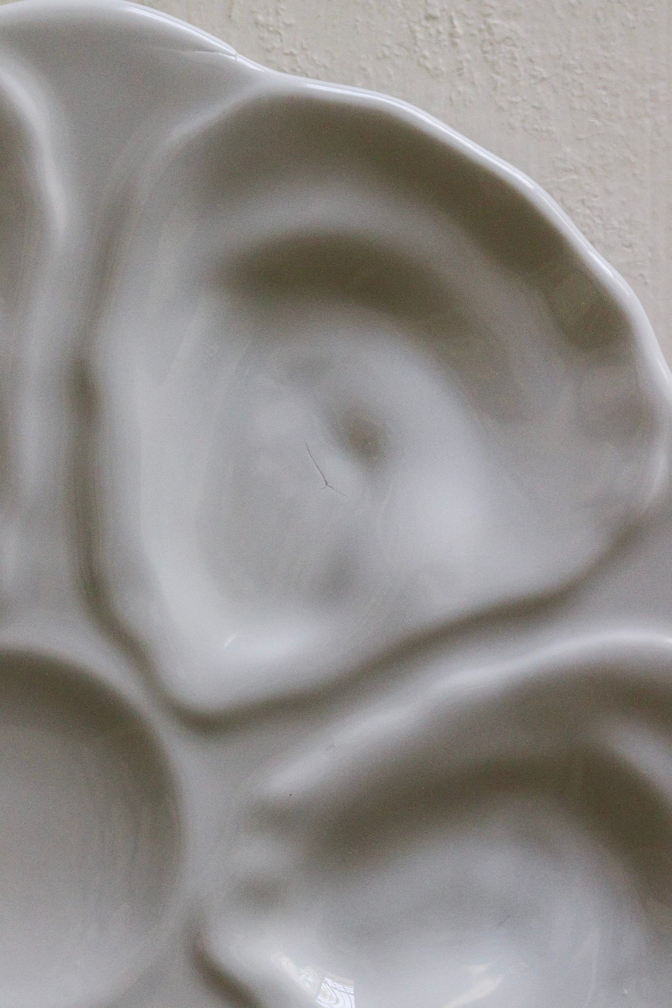 Vintage French Oyster Plate No.1