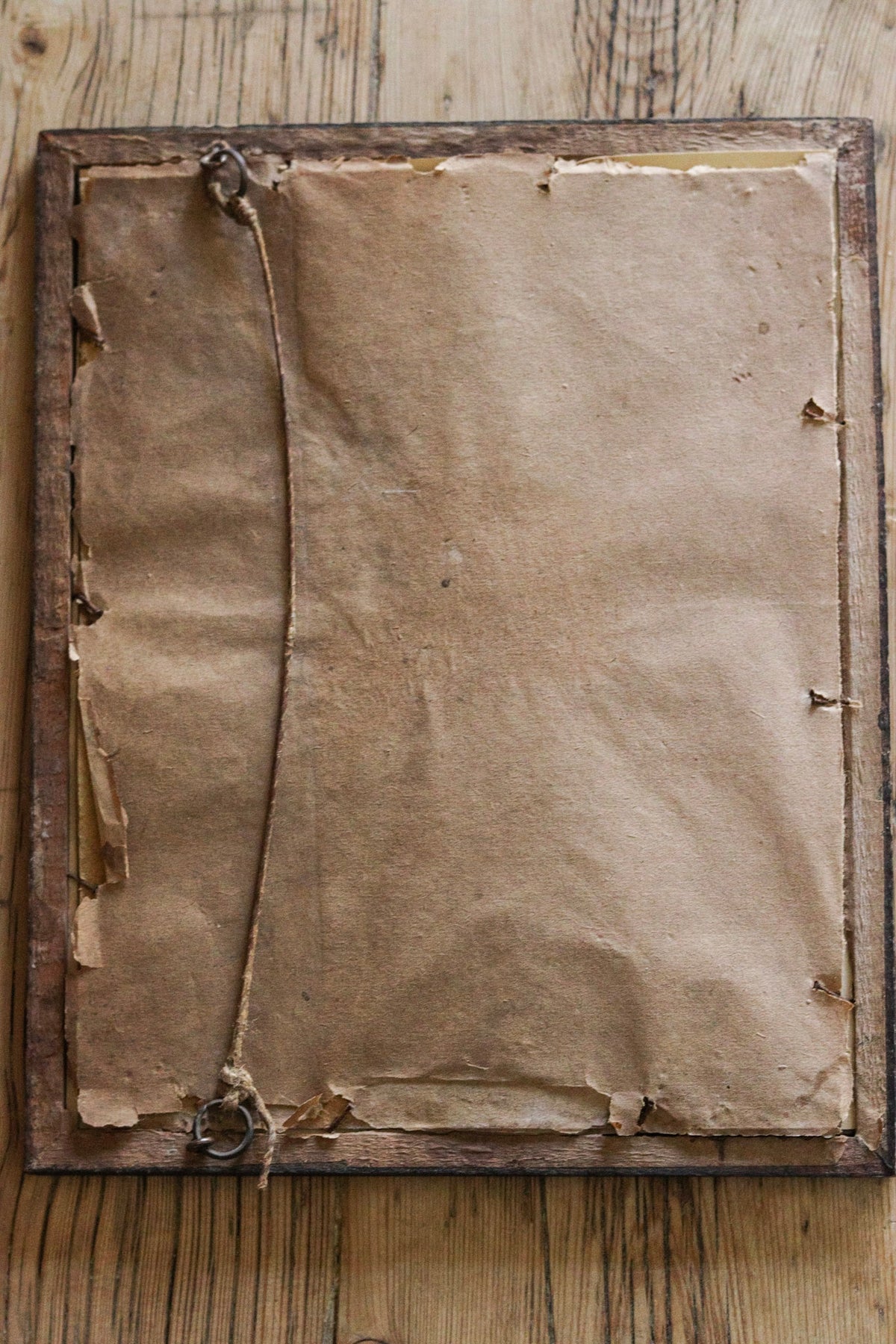 Vintage Framed Herbarium - Dated 1951