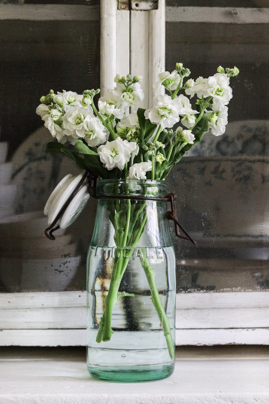 Vintage French Canning Jar with Porcelain Top
