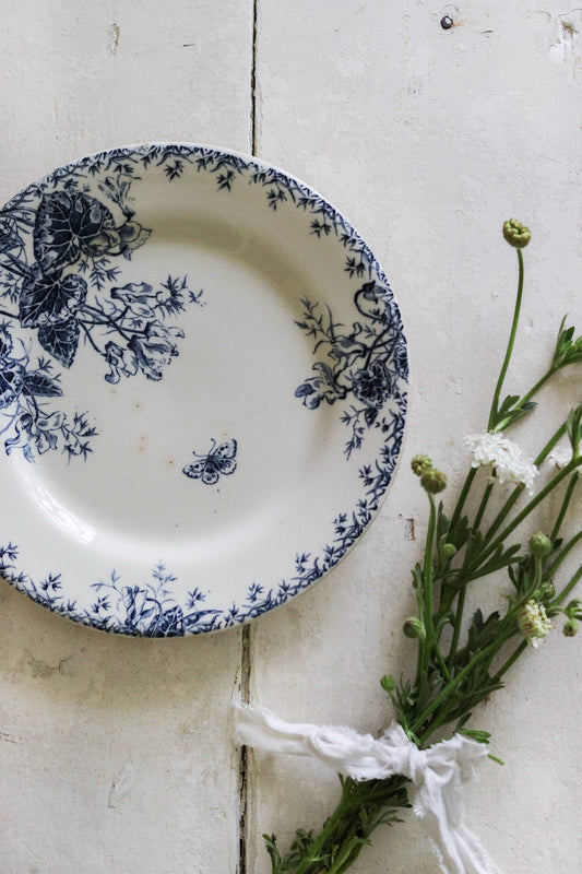 Antique French Transferware Plate with Butterfly and Flowers