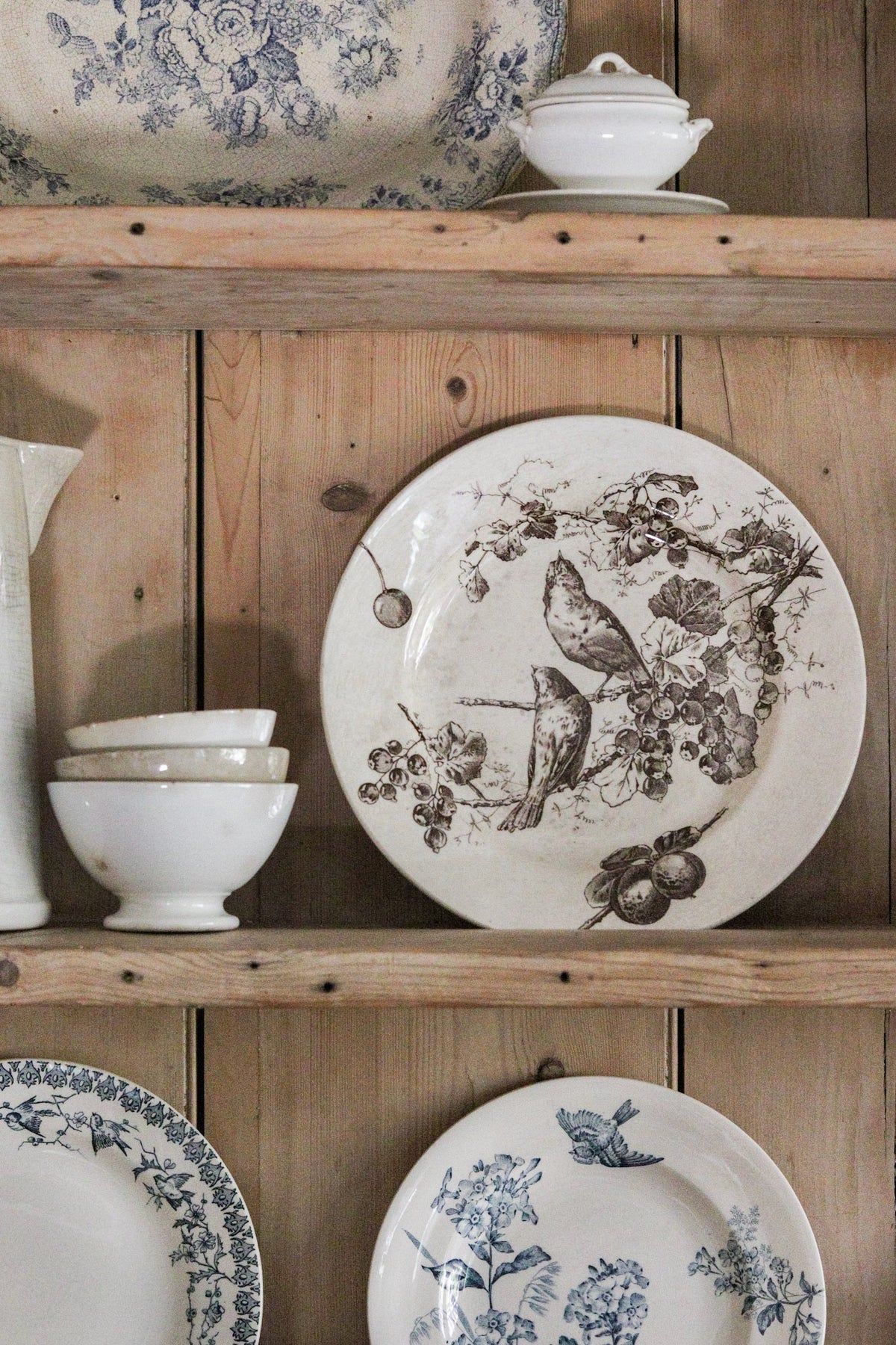 Stunning Large Antique French Transferware Plate with Birds