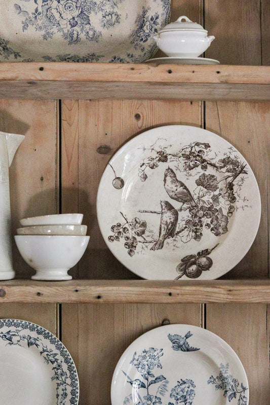 Stunning Large Antique French Transferware Plate with Birds
