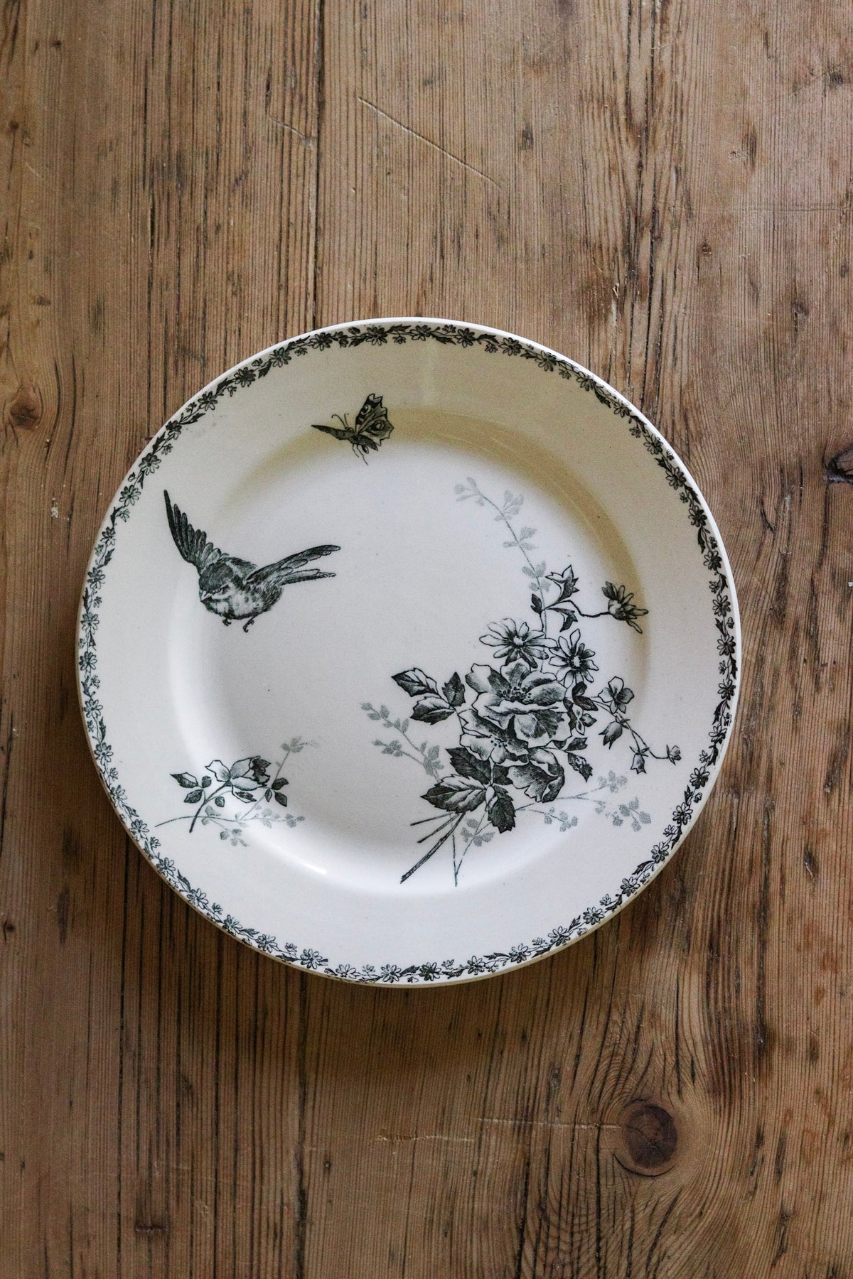 Antique French Transferware Plate with Bird