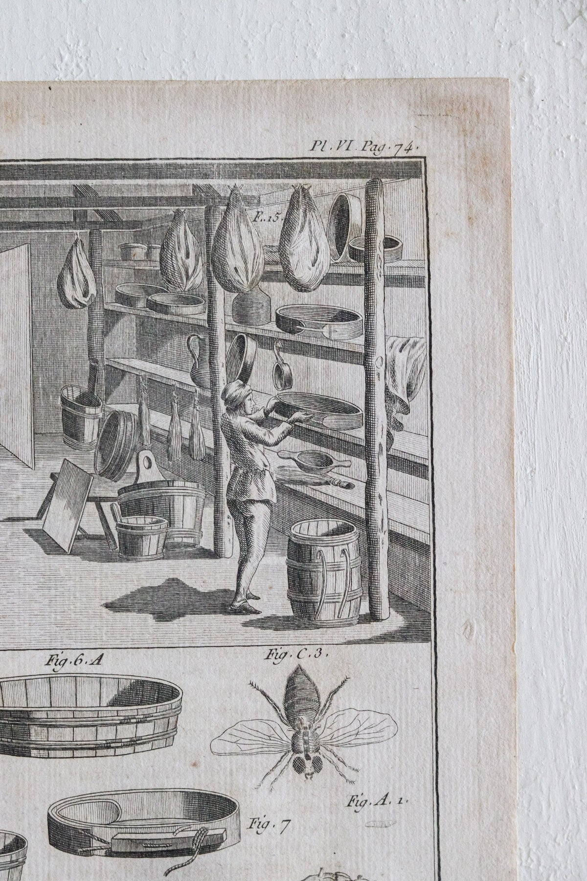 Antique French Agriculture Print c.1918