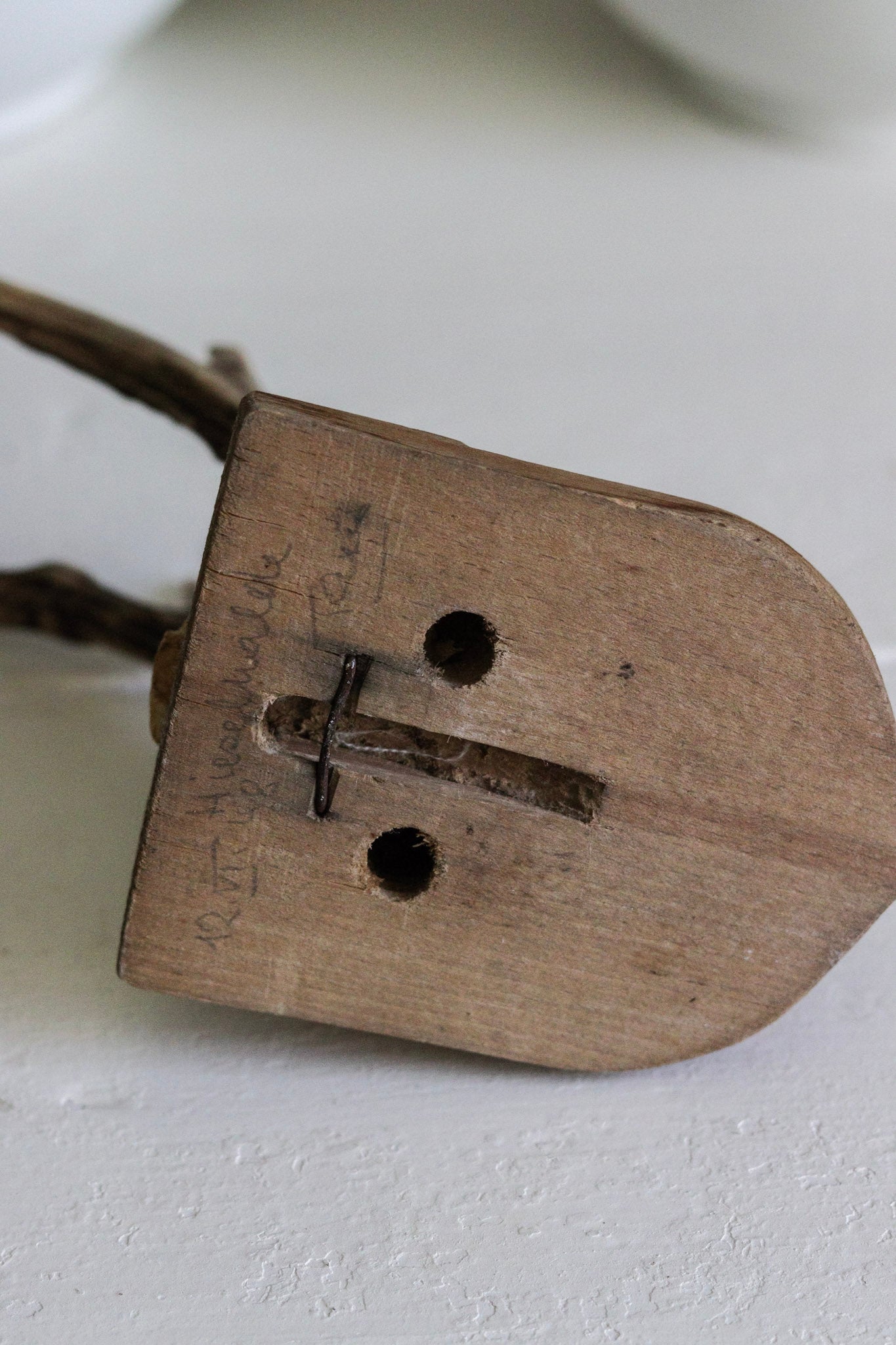 Petite Vintage European Antler Mount