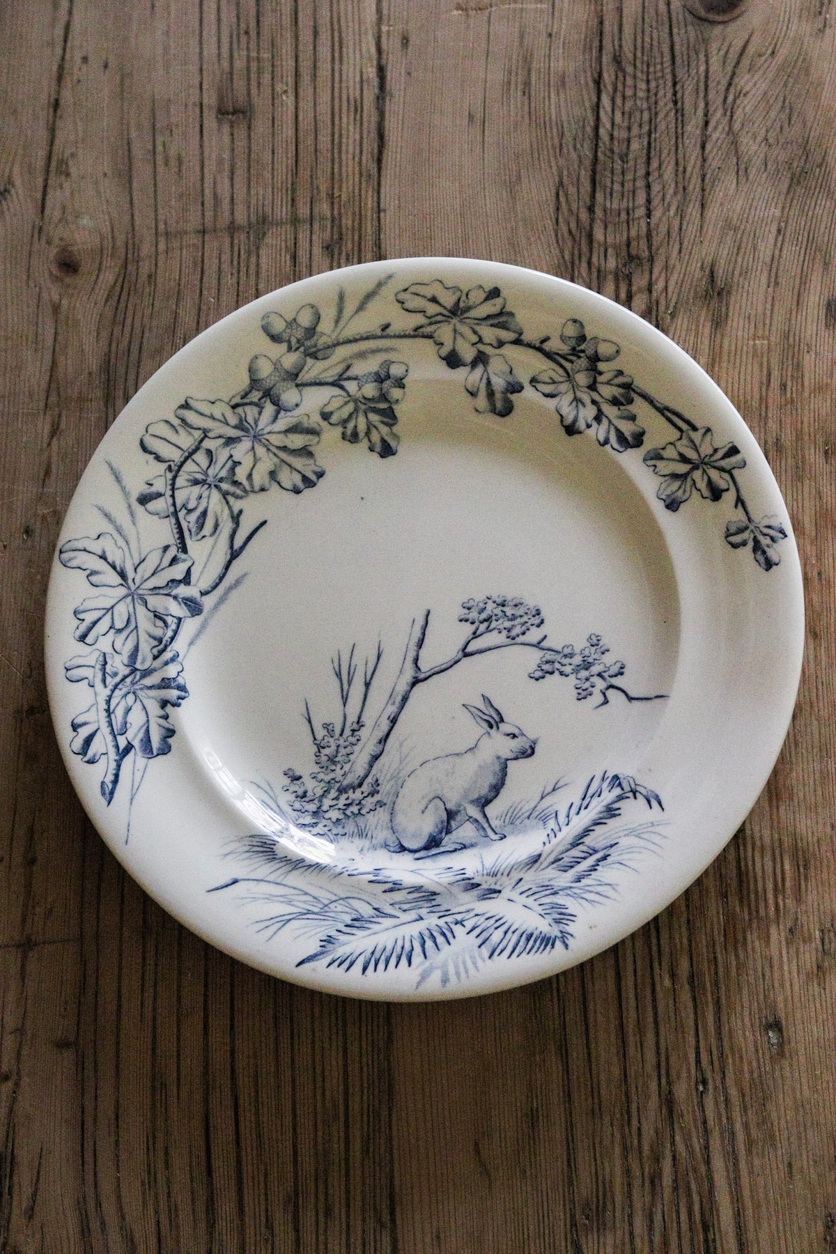 Antique French Transferware Plate with Rabbit