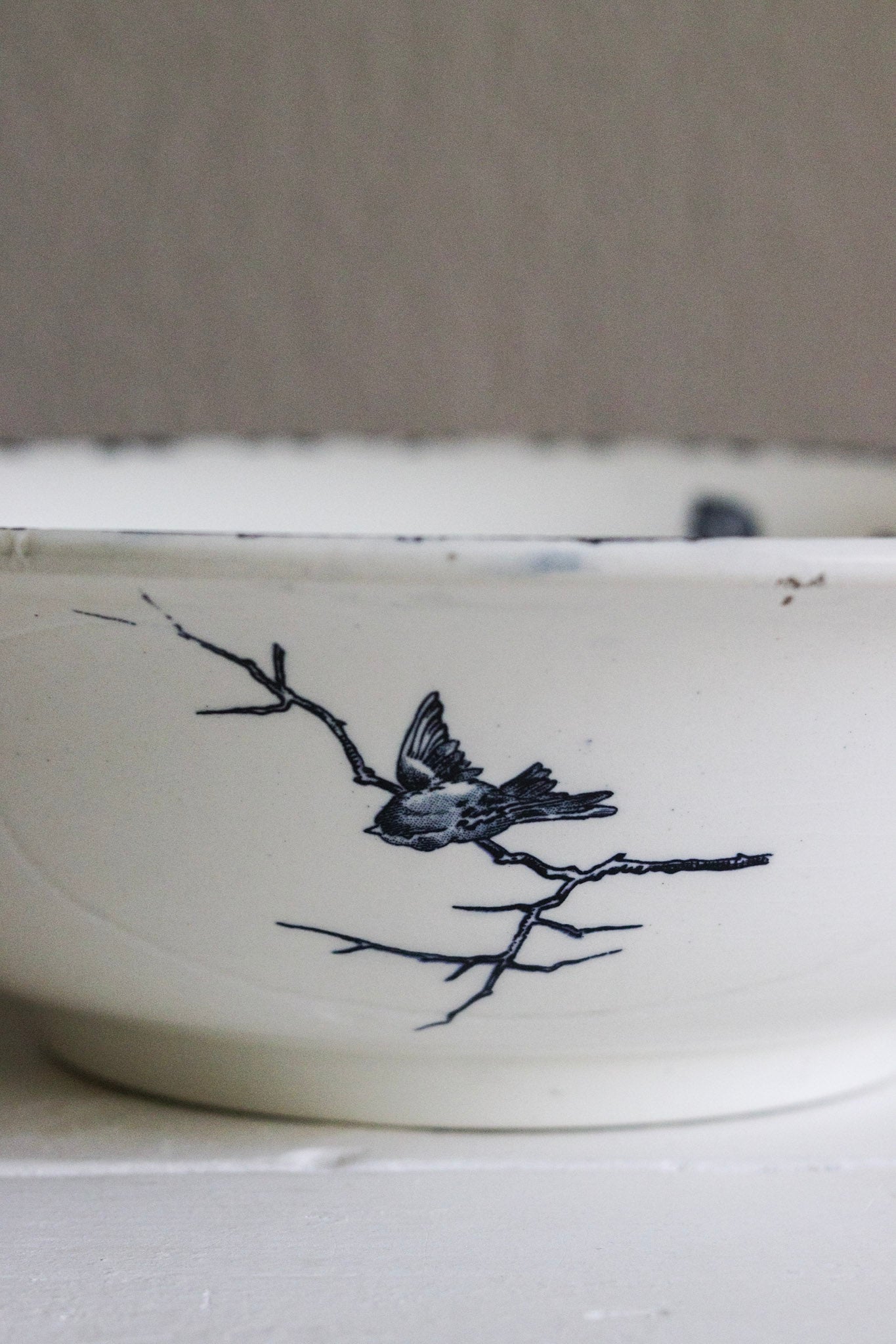 Extra Large Antique French Transferware Bowl With Birds & Flowers