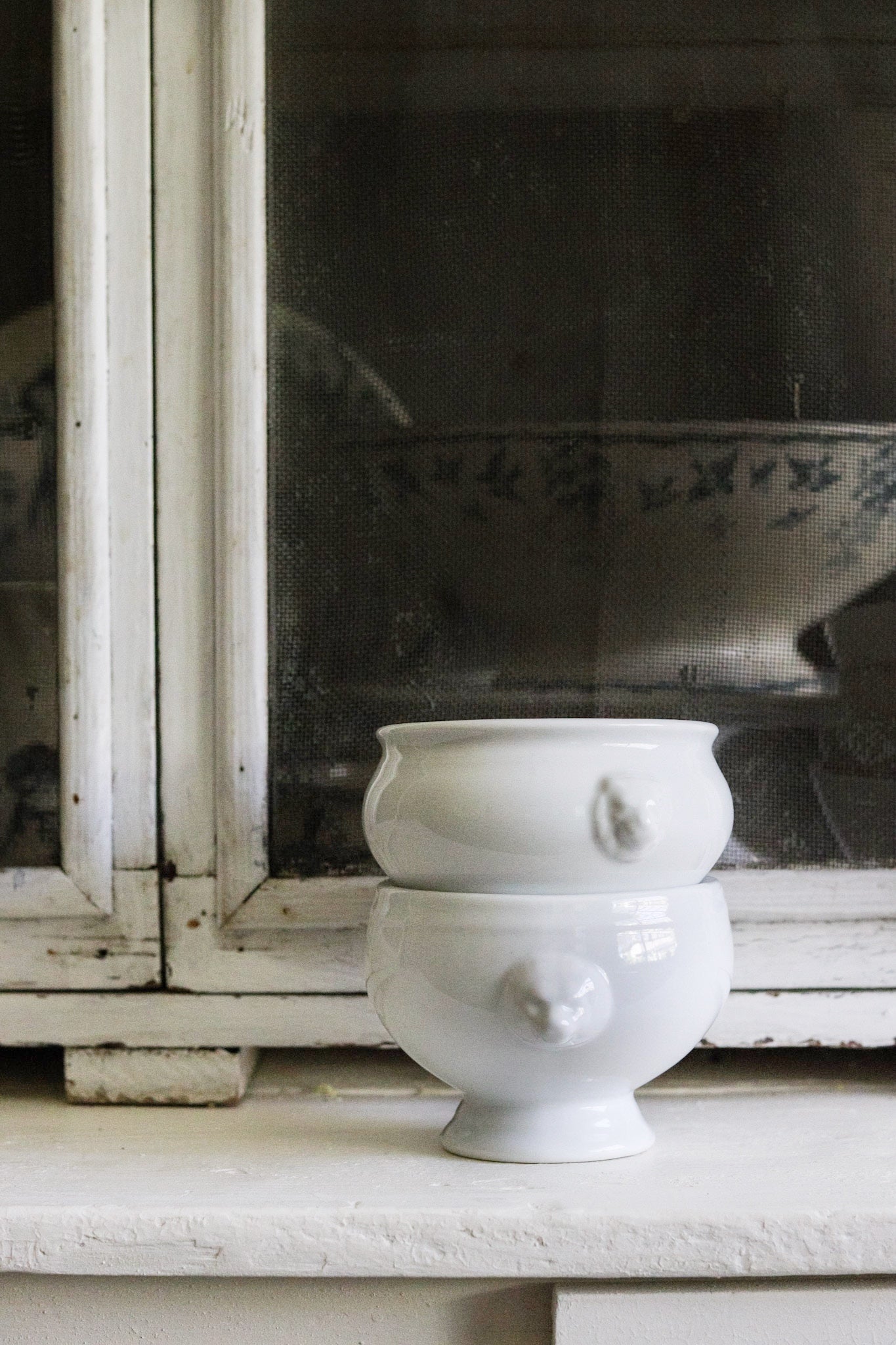 Pair of Vintage French Lion Bowls