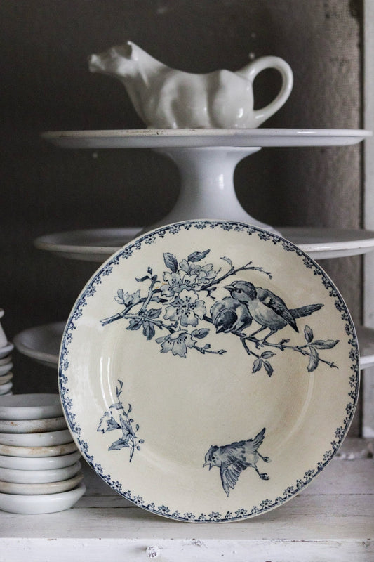 Antique French Transferware Plate with Birds