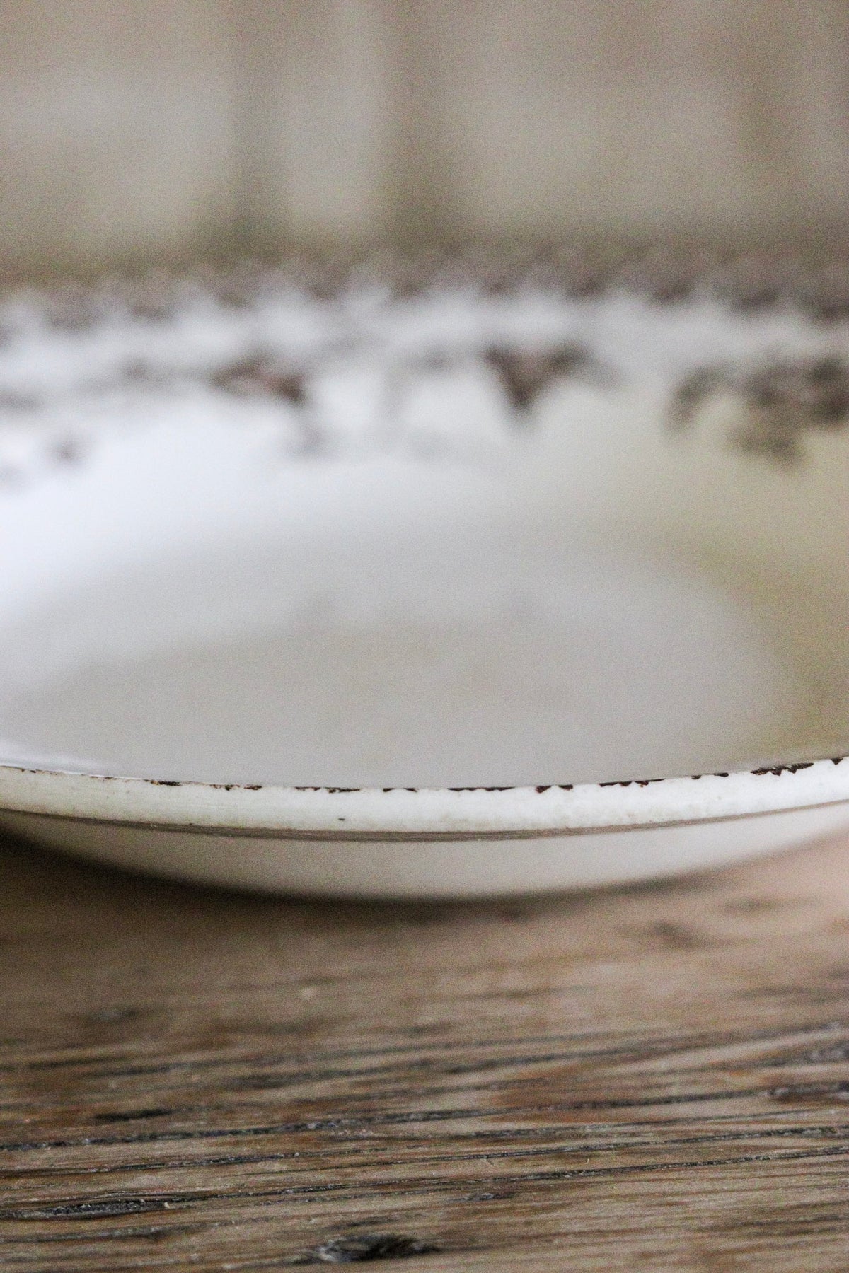 Antique French Transferware Shallow Bowl with Birds
