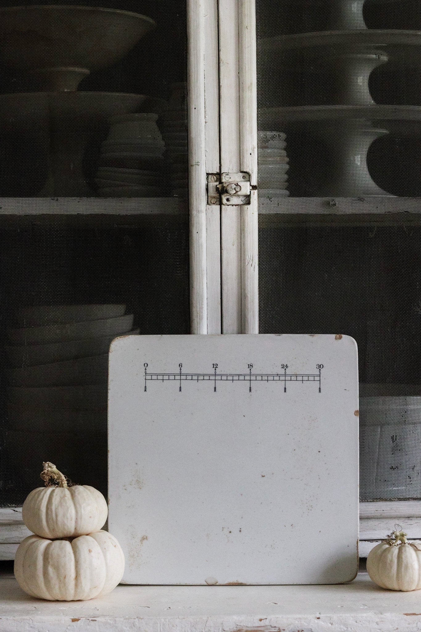 Antique English Pharmacist Pill Plate