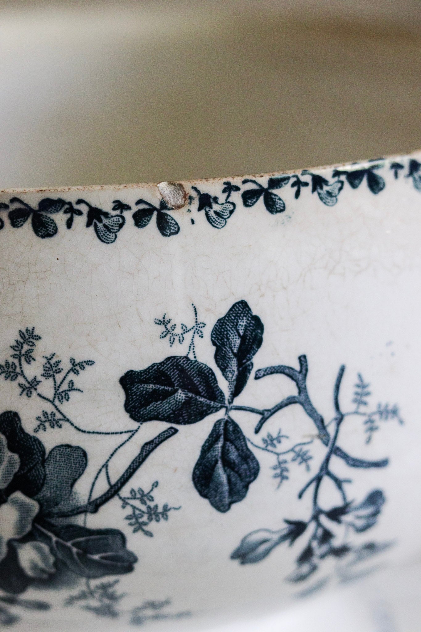 Antique French Transferware Tureen with Flowers