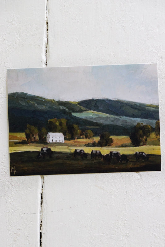 Cows In Shadow Print