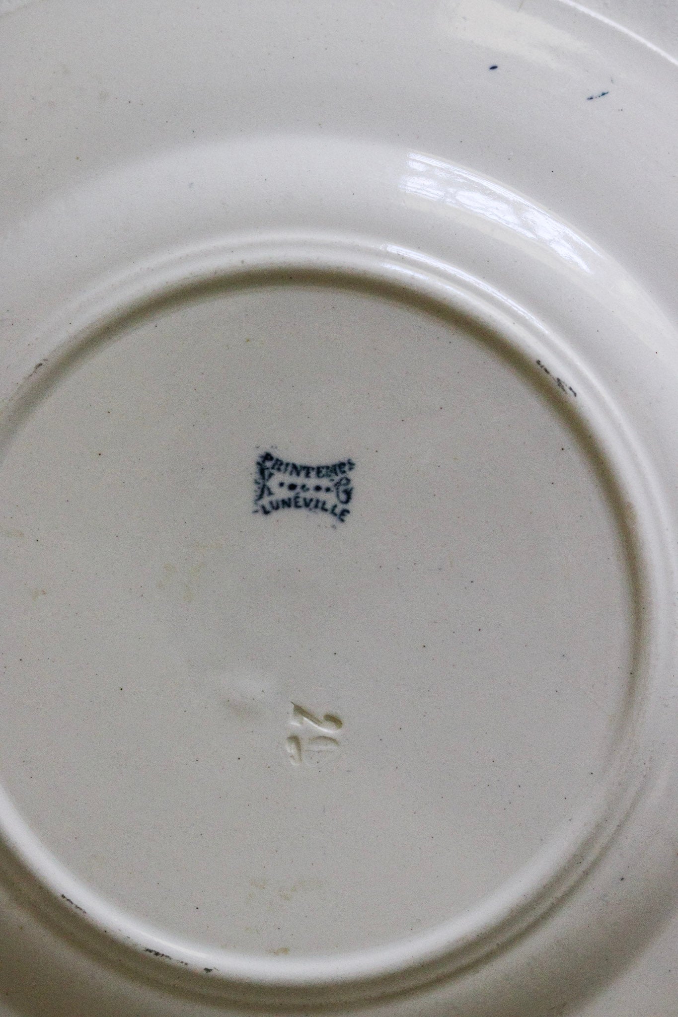 Antique French Transferware Plate with Flowers