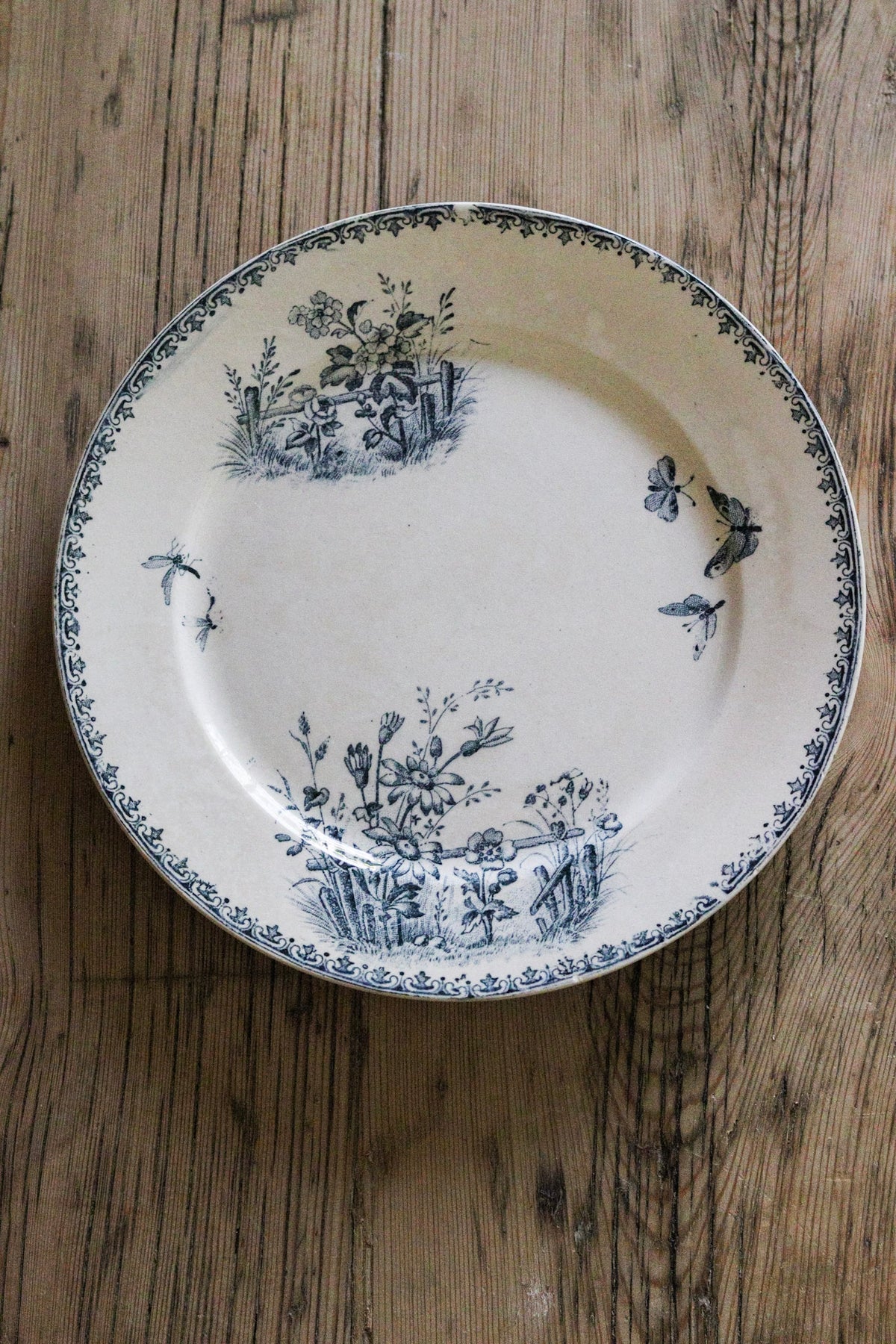 Antique French Transferware Plate with Flowers and Butterflies and Dragonflies