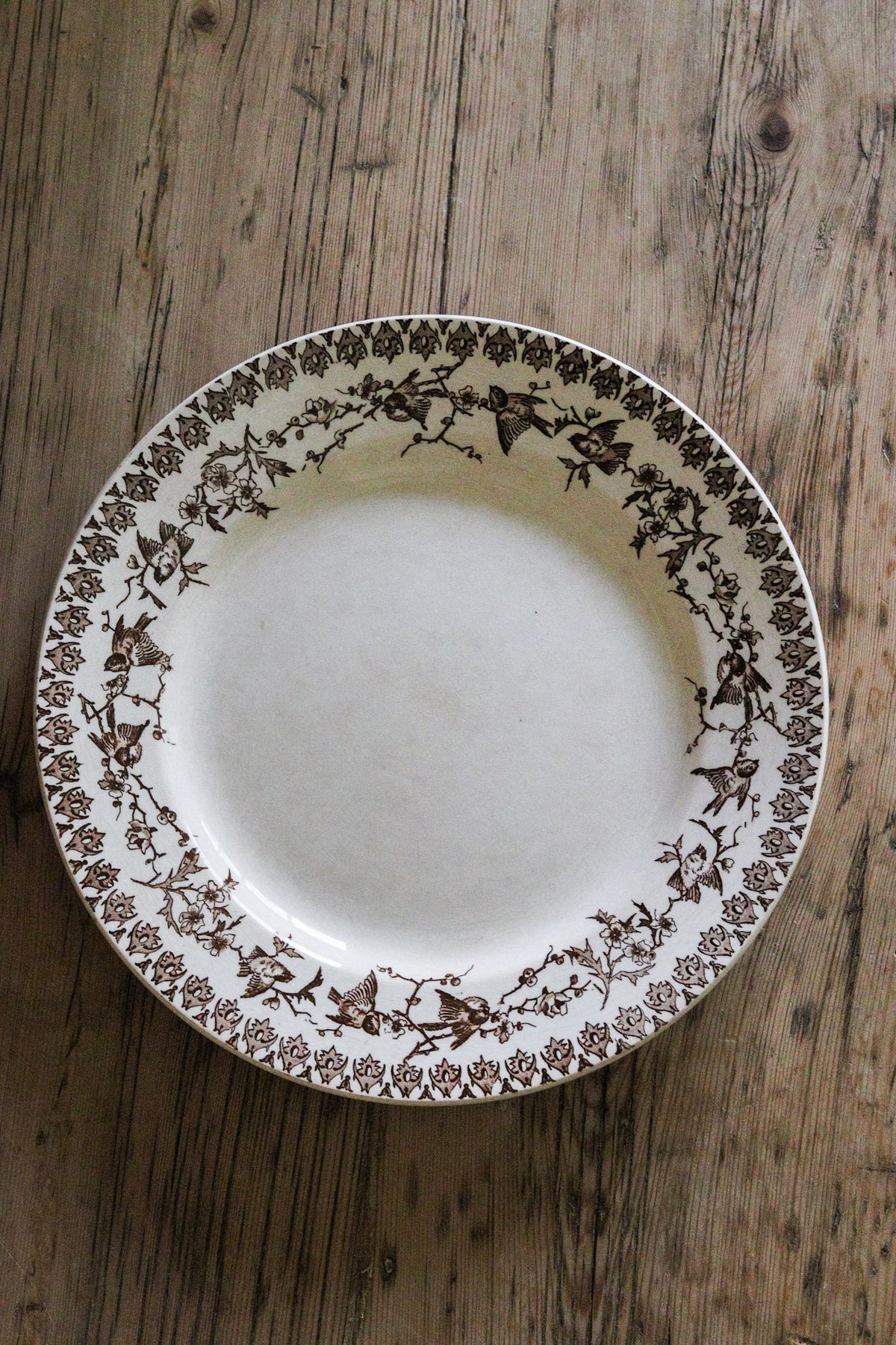 Large Antique French Transferware Plate with Birds