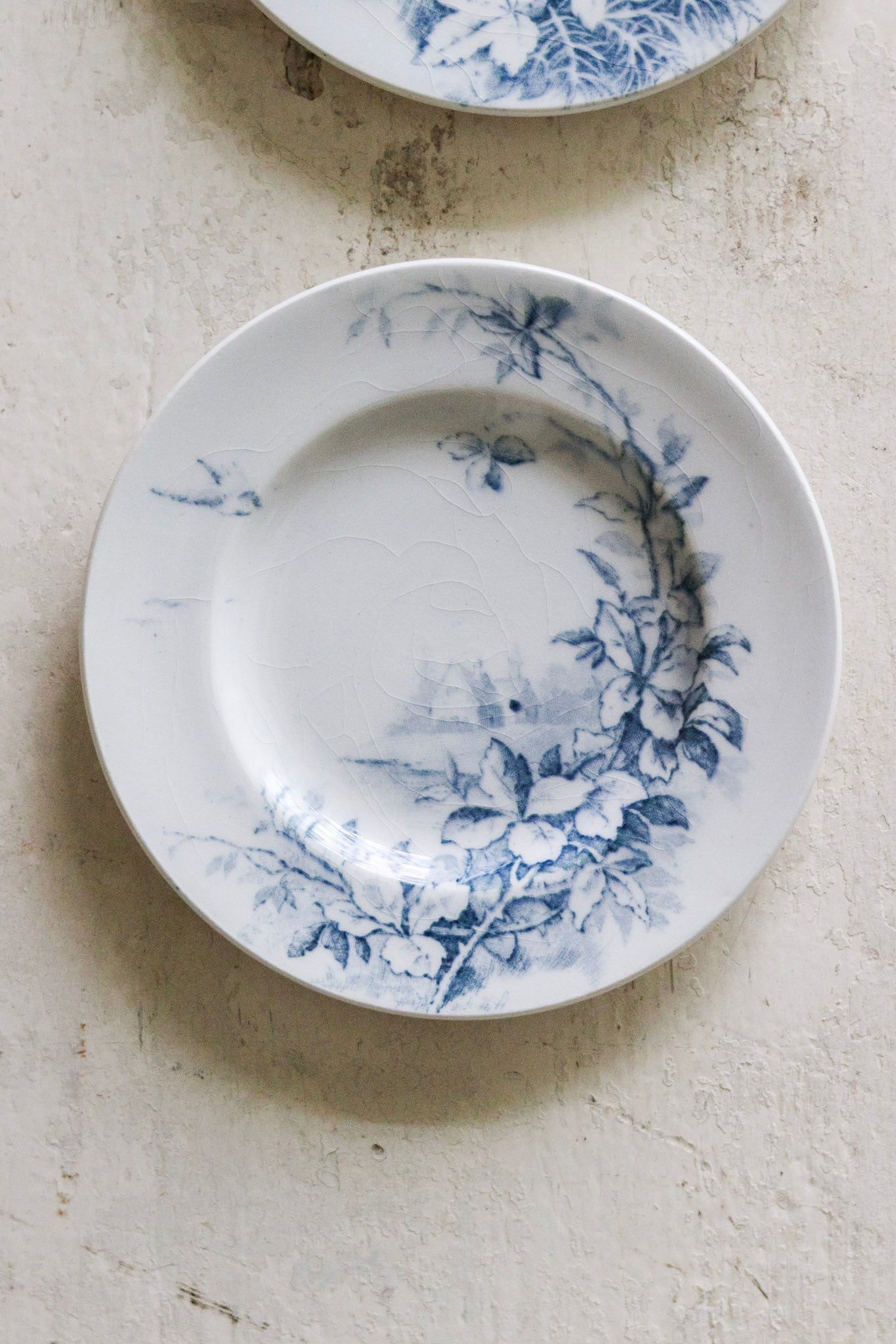 Pair of Antique French Dînette Set Transferware Salad Plates  No. 2