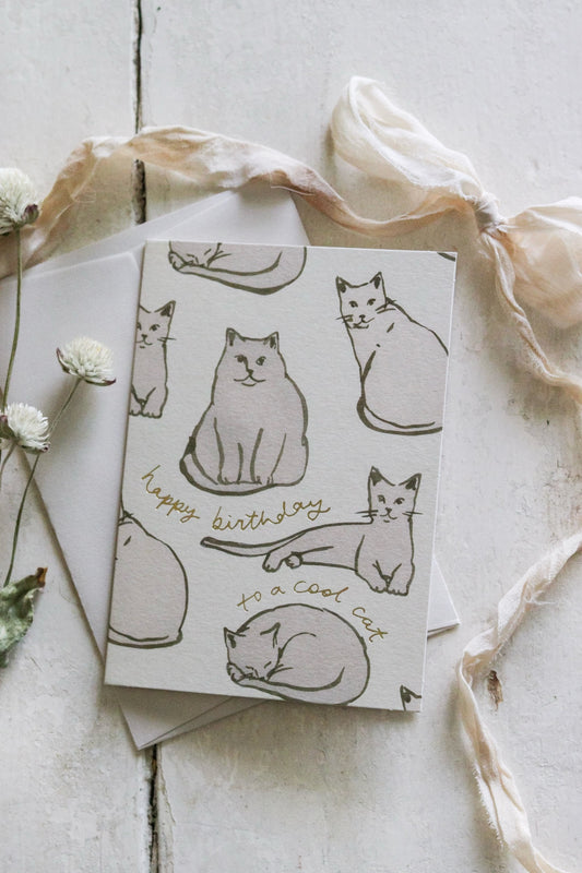 Cats " Happy Birthday to a Cool Cat" Card