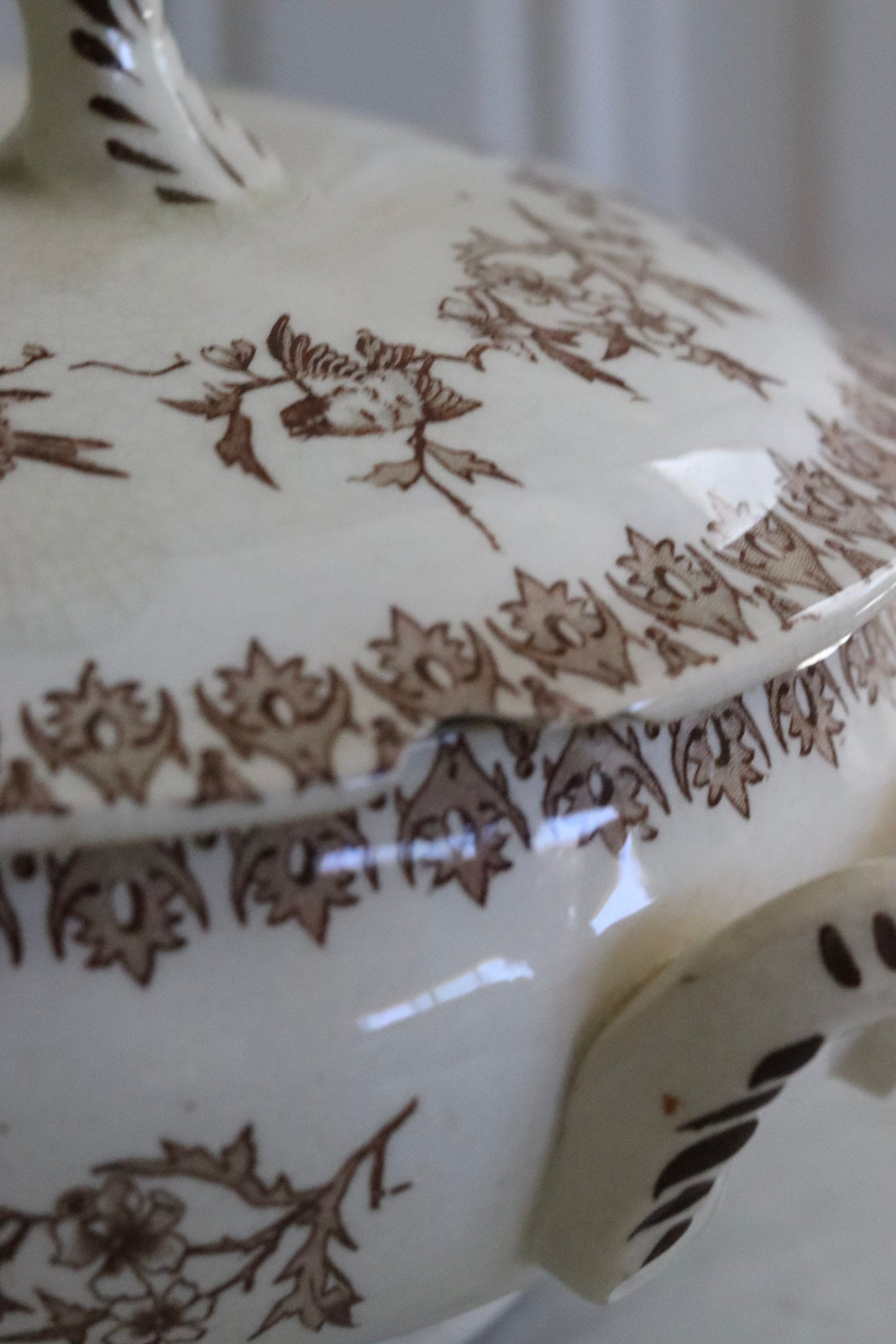 Antique French Transferware Tureen with Birds