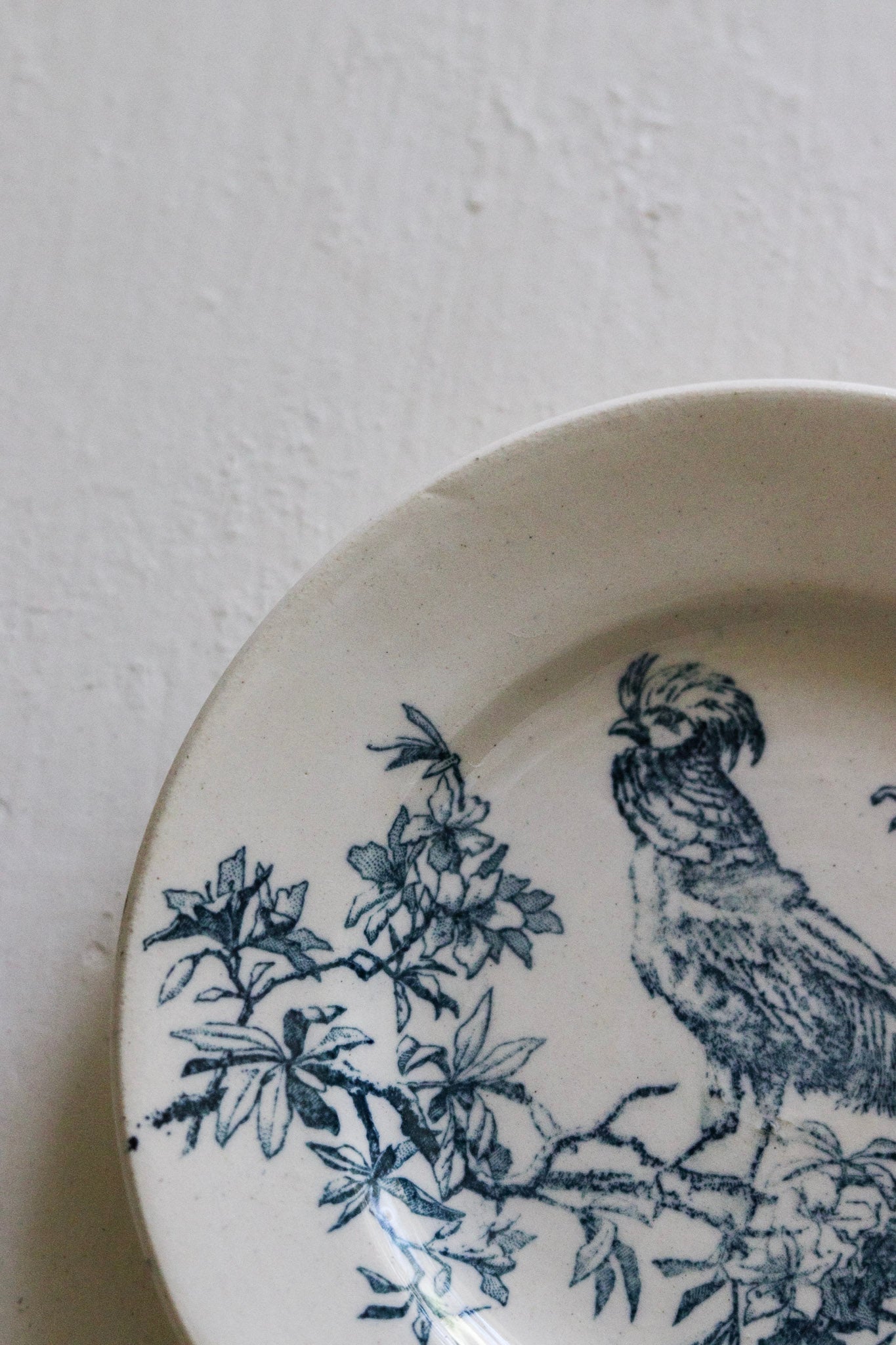 Antique French Transferware Child's Dînette Plate with Pheasant