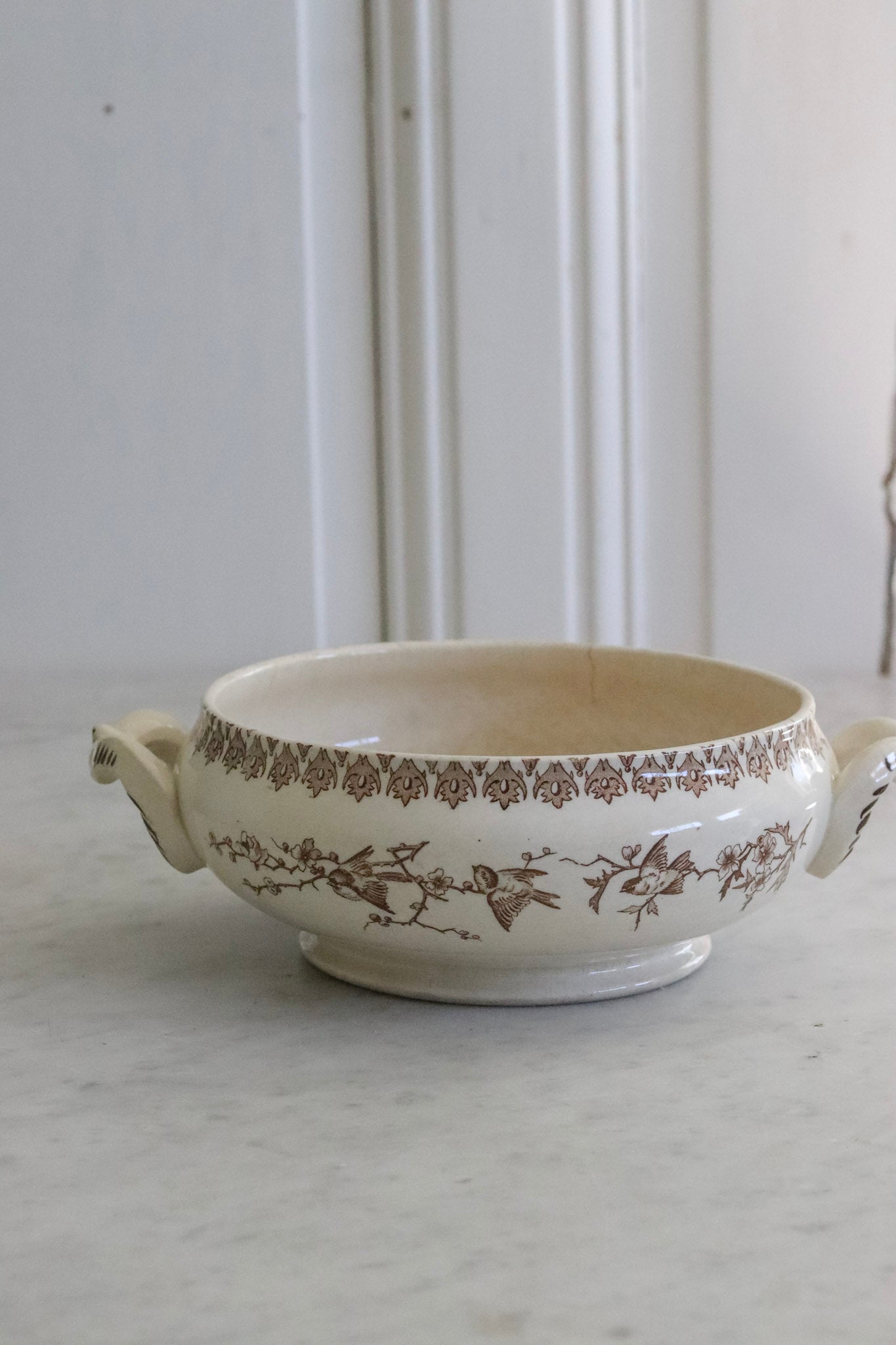 Antique French Transferware Tureen with Birds