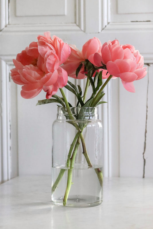 Vintage French Candy Jar